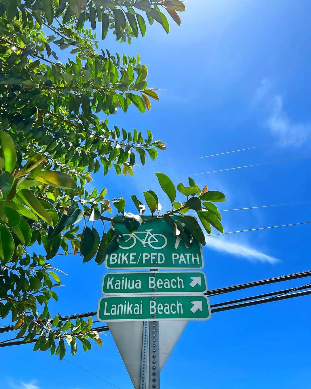 shihoさんのインスタグラム写真 - (shihoInstagram)「🧡👒🧡👒🧡 ・ カヤックをレンタルして カイルアビーチまでとことこ。 ・ 普段車で通る事が多い場所を ゆっくり景色を眺めながら歩くのは また違う景色と出逢えて良き♡ ・ カヤックには運びやすいように タイヤが取り付けてあるんだけど、 意外と重くて必死。笑 ・ #hawaii#islandofoahu#oahu#ハワイ#trip #オアフ島#travel#loco_hawaii#travel_jp #funtorip#タビジョ#旅MUSE#genic_travel #genic_mag#たびねす#旅行#genic_hawaii #kailua#カイルア#カイルアビーチ#sea#beach #kailuabeach#town#palmtrees#oahuhawaii #tabijyomap_hawaii#lealeahawaii#2023」11月10日 12時01分 - shiho.ga8