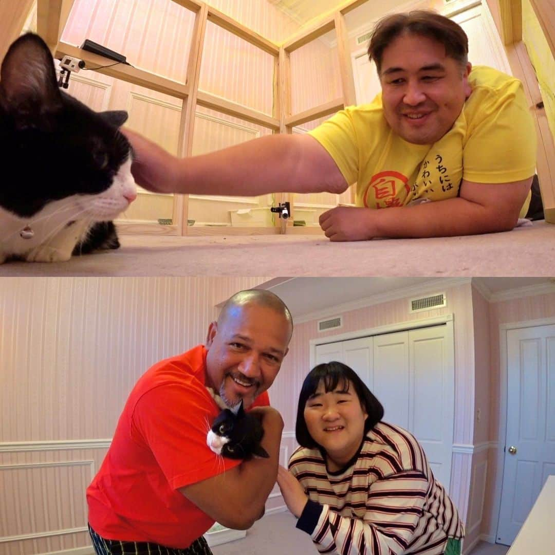 天才！志村どうぶつ園のインスタグラム：「保護猫・サクラの更なる人なれのため、ラミちゃん宅に、二子山親方と愛ちゃんが！！！  さすが池崎一門メンバーといった 凄いパワーとネコ愛を持った２人🥹💖✨  明日の放送も、皆さんの癒やしとなりますように！！！」