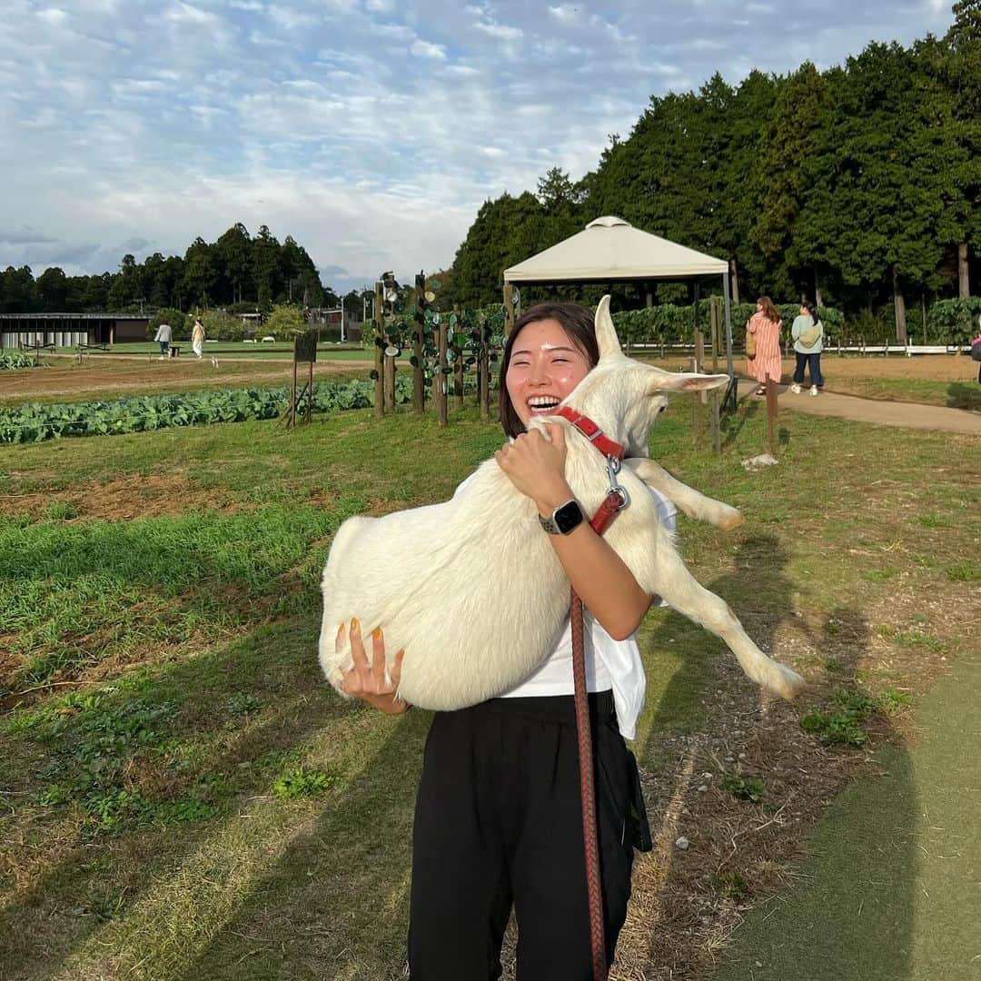 さくらさんのインスタグラム写真 - (さくらInstagram)「小さい頃の夢はパン屋さん 少し大きくなった頃の夢は警察官 勉強し始めた頃はお医者さん 現実の今は薬剤師免許取得できるように勉強中 ⁡ これからの将来の理想は？って聞かれたら 牧場経営して毎日ヤギと牛と羊と馬に餌あげる生活🐐🐄🐏🫏 でも動物とのお別れって悲しいからそれはそれで厳しい現実😌 ⁡ みなさんの子供の頃の夢はなんでしたか？👶🏻🎈 ⁡ ⁡ #筋トレ#筋トレ女子#腹筋#腹筋女子#背筋#おしり#fitness#bodymake#homeworkout#bodycombat#hiitworkout #diet#healthylifestyle#gym#booty」11月10日 21時43分 - sakufitness