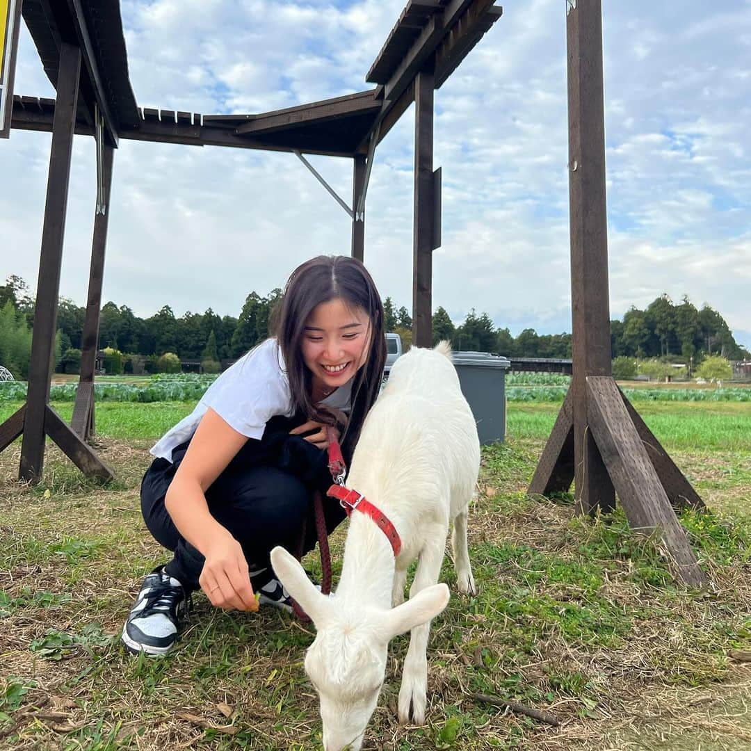 さくらさんのインスタグラム写真 - (さくらInstagram)「小さい頃の夢はパン屋さん 少し大きくなった頃の夢は警察官 勉強し始めた頃はお医者さん 現実の今は薬剤師免許取得できるように勉強中 ⁡ これからの将来の理想は？って聞かれたら 牧場経営して毎日ヤギと牛と羊と馬に餌あげる生活🐐🐄🐏🫏 でも動物とのお別れって悲しいからそれはそれで厳しい現実😌 ⁡ みなさんの子供の頃の夢はなんでしたか？👶🏻🎈 ⁡ ⁡ #筋トレ#筋トレ女子#腹筋#腹筋女子#背筋#おしり#fitness#bodymake#homeworkout#bodycombat#hiitworkout #diet#healthylifestyle#gym#booty」11月10日 21時43分 - sakufitness