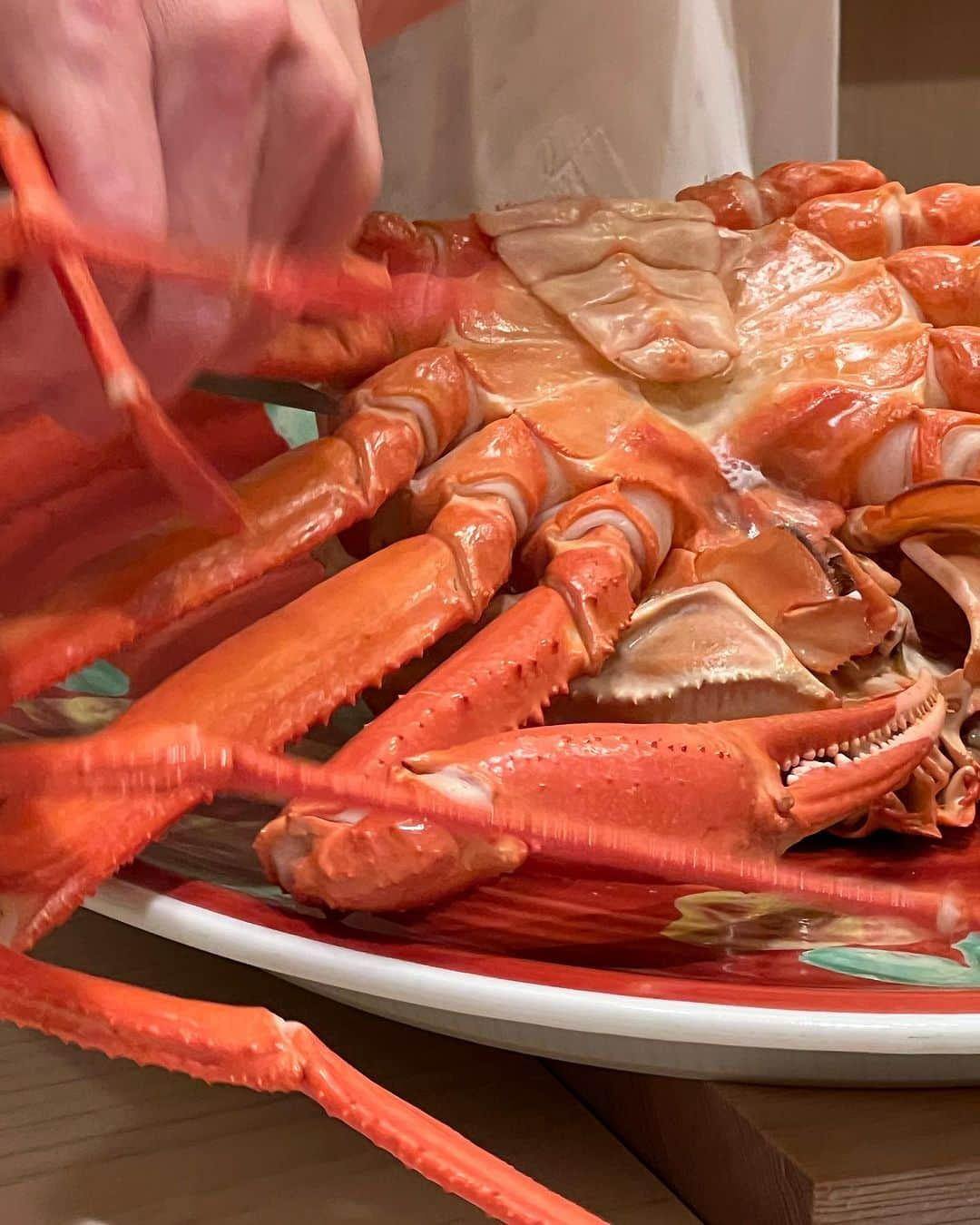 辻口博啓のインスタグラム：「石川県は今日から蟹🦀が解禁 鮨めくみの蟹はなかなか予約が難しくたまたまのタイミングで頂けることになりました！ 山口大将最高だわ！ #石川県#蟹#めくみ」