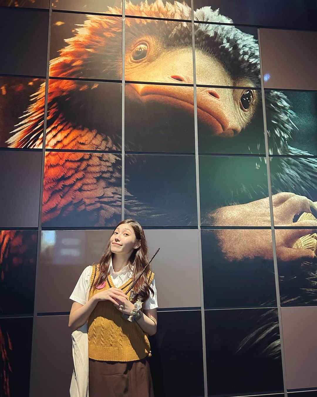 立石晴香さんのインスタグラム写真 - (立石晴香Instagram)「どれ載せようか悩んでる間に時間経ちすぎちゃったスタジオツアー第二弾😢🪄✨  最近いろんなところでハリーポッターコラボ見かけるから嬉しい限りです🪄 週末から冷え込むところも多いようなので、皆さん体調お気をつけくださいね🥲  おやすみなさい✨  #studiotourtokyo #harrypotter」11月10日 22時07分 - haruka_tateishi