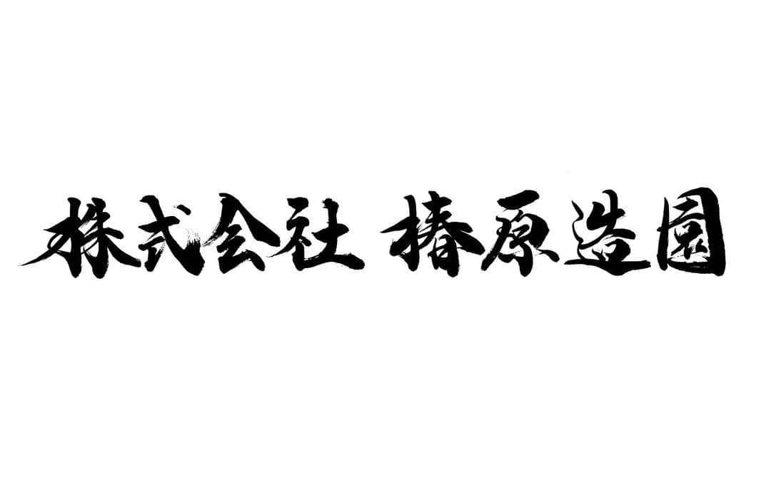 岡西佑奈のインスタグラム：「数年前に仕事で有田へ、少し前にはプライベートで唐津へと行きましたが文化は自然との関わりの中から生まれるのだなと感じる場所でした。 そんな佐賀県唐津からご縁があり建築業を営む“株式会社 椿原造園”さまの社名を描かせていただきました。 また佐賀県に行ってみたい、と沸々と思うのでした。  感謝✨  #社名 #ロゴ #書道 #書家 #書道家 #岡西佑奈 #japan #japanese#calligraphy #japanesecalligraphy  #art #yuunaokanishi」