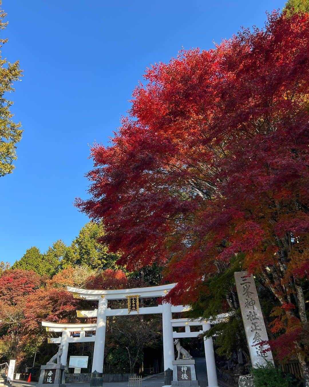 アサヒ（小林あさひ）さんのインスタグラム写真 - (アサヒ（小林あさひ）Instagram)「色づく季節⛰️🍁」11月10日 22時15分 - lgm_asahi_official