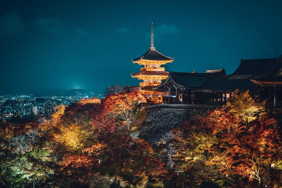 清水寺さんのインスタグラム写真 - (清水寺Instagram)「THE EVENING SPECIAL VISIT autumn 2023 | 清水寺 秋の夜間特別拝観  -Dates: November 18 (Sat) – November 30 (Thu) -Hours: 6:00 p.m. – 9:30 p.m. (9:00 p.m. last entry) -Admission fee: Adult: 400 yen / Elementary and junior high student: 200 yen *No reservations required.  実施期間：11月18日（土）〜 11月30日（木） 拝観時間：午後5時半～午後9時 受付終了＊予約の必要はございません。 拝観料：大人400円／小・中学生200円 協力：清水寺門前会　茶わん坂繁栄会　清水寺御用達会」11月10日 22時26分 - feel_kiyomizudera