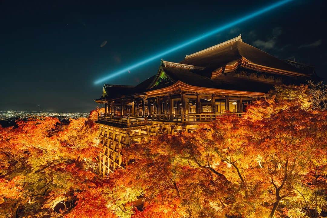 清水寺のインスタグラム：「THE EVENING SPECIAL VISIT autumn 2023 | 清水寺 秋の夜間特別拝観  -Dates: November 18 (Sat) – November 30 (Thu) -Hours: 6:00 p.m. – 9:30 p.m. (9:00 p.m. last entry) -Admission fee: Adult: 400 yen / Elementary and junior high student: 200 yen *No reservations required.  実施期間：11月18日（土）〜 11月30日（木） 拝観時間：午後5時半～午後9時 受付終了＊予約の必要はございません。 拝観料：大人400円／小・中学生200円 協力：清水寺門前会　茶わん坂繁栄会　清水寺御用達会」