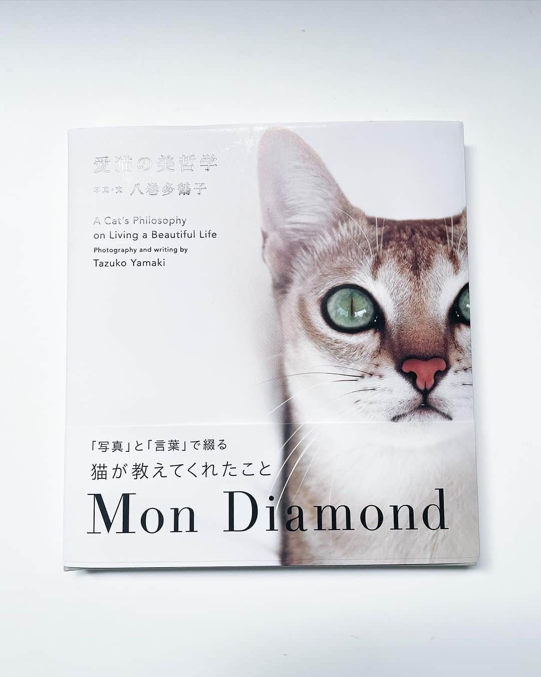 山本浩未さんのインスタグラム写真 - (山本浩未Instagram)「『愛猫の美哲学　 Mon Diamond』  デザイナーやブランドプロデューサーとして活躍する #八巻多鶴子 さんが自ら撮影した愛猫ディアモンの写真に、猫を愛する先人たちの格言やエッセイを添え、ディアモンに学んだ美しく生きる哲学を綴った美しい一冊です📕✨  八巻さんとは30数年前、仕事で出会い、美しく聡明で仕事をバリバリこなす彼女はとてつもなく近づき難く、、だったのですが、お互いCAT LOVERであるって事から再会 🐈‍⬛💕  チャーミングなお人柄を知り、話しが弾んで12月の金沢 福光屋BOOKTOURにもご参加くださるって☺️  繋いで下さった高岸さんからそれぞれにお花をプレゼント🧡💚  美味しく、楽しく、嬉しい夜となりました☺️  #愛猫の美哲学mondiamond  #catlover #オレンジ系の花束 #ありがとうございます」11月10日 22時51分 - hiromicoy