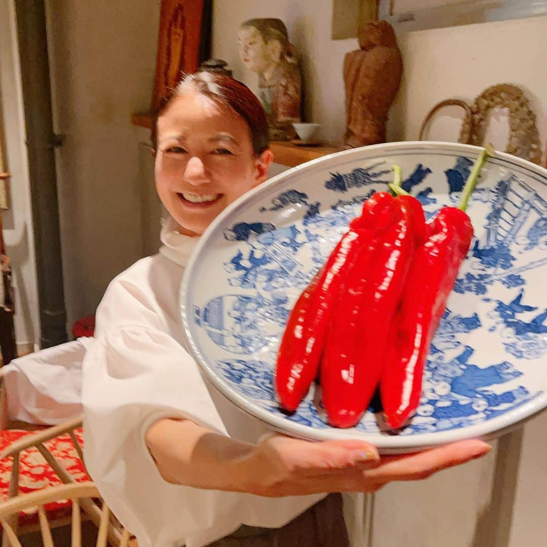 馬場典子さんのインスタグラム写真 - (馬場典子Instagram)「すごく大きな万願寺とうがらし！ この後、甘くて香り高い春巻きになりました！  #グルメではなく食いしん坊 #馬場典子 #ばばちゃんネル」11月10日 22時51分 - baba_channel