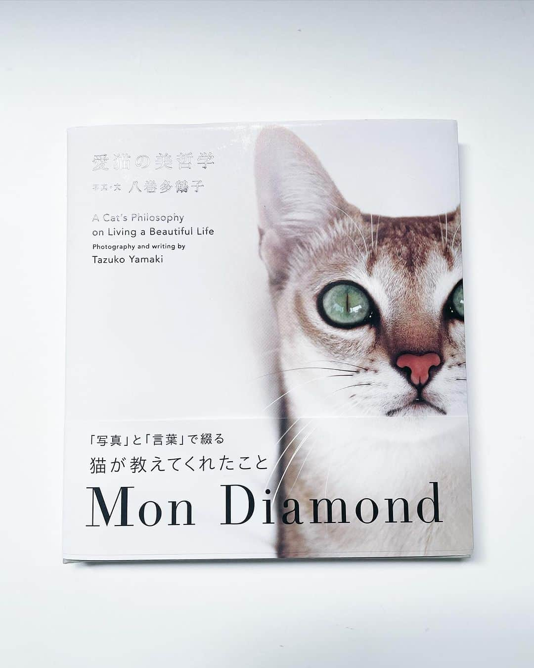 山本浩未のインスタグラム：「『愛猫の美哲学　 Mon Diamond』  デザイナーやブランドプロデューサーとして活躍する #八巻多鶴子 さんが自ら撮影した愛猫ディアモンの写真に、猫を愛する先人たちの格言やエッセイを添え、ディアモンに学んだ美しく生きる哲学を綴った美しい一冊です📕✨  八巻さんとは30数年前、仕事で出会い、美しく聡明で仕事をバリバリこなす彼女はとてつもなく近づき難く、、だったのですが、お互いCAT LOVERであるって事から再会 🐈‍⬛💕  チャーミングなお人柄を知り、話しが弾んで12月の金沢 福光屋BOOKTOURにもご参加くださるって☺️  繋いで下さった高岸さんからそれぞれにお花をプレゼント🧡💚  美味しく、楽しく、嬉しい夜となりました☺️  #愛猫の美哲学mondiamond  #catlover #オレンジ系の花束 #ありがとうございます」