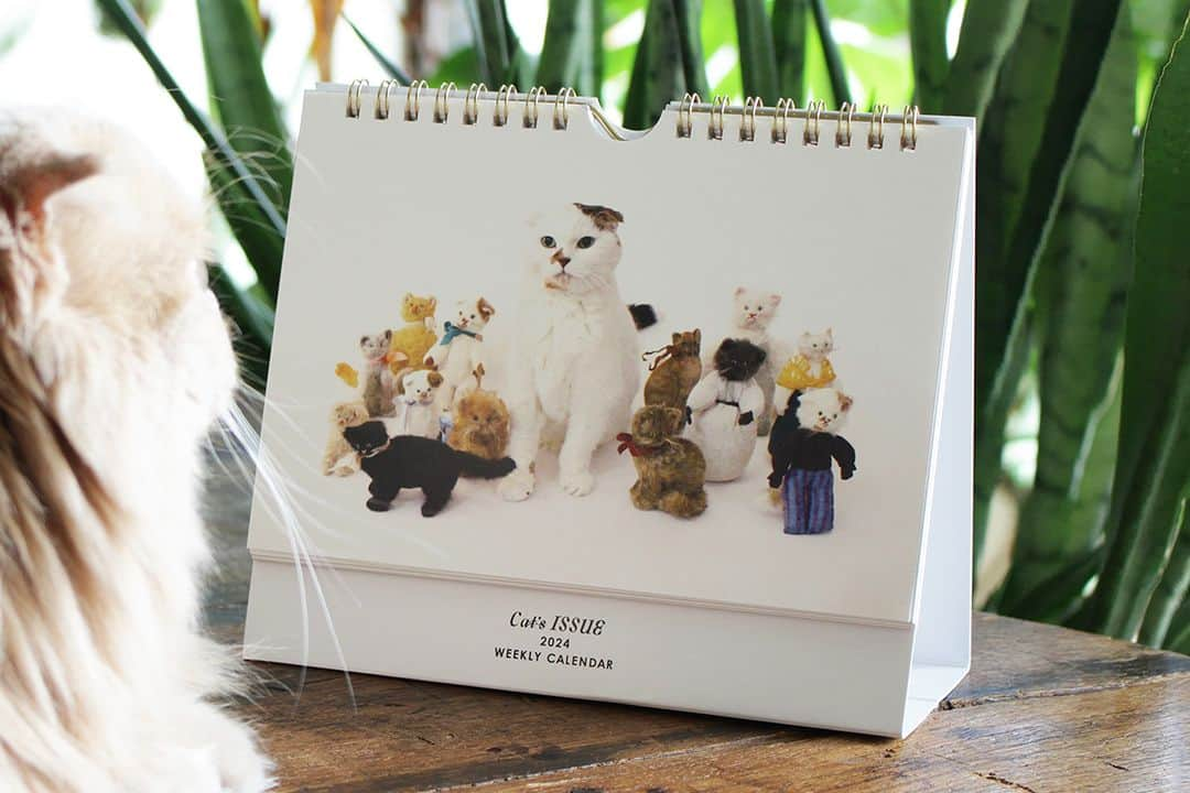 銀座 蔦屋書店のインスタグラム：「XMAS 2023 🐱 Cat’s issue CALENDAR FAIR  ネコ好きクリエーターと共にネコへの「偏愛」を発信するプロジェクト「Cat’s ISSUE」。 銀座 蔦屋書店のクリスマスフェアでは2024年のカレンダーを販売中です。  🐈2024 ぬいぐるみ 週めくりカレンダー / YOSHIMARU × CAT'S ISSUE（画像1～3枚目） 2024年の卓上型 週めくりカレンダー。 手作りならではのぬくもり感ある、世界にひとつだけのネコぬいぐるみ作品を製作する、ぬいぐるみ作家 yoshimaruさんより、今回特別に12匹のネコぬいぐるみを製作いただき、カレンダーにデザインしました。 12匹のネコたちが、53週毎週違う姿・アイテムたちと季節に合わせて、かわるがわる登場。 Cat's ISSUEオリジナル巾着と、カレンダーには使用していないカットをデザインしたスペシャルポストカードもセットになっています。 yoshimaru … フリーハンド、手縫いで素朴なぬいぐるみを作っています。 Instagram：@yoshimaru87746  🐈366 KOMUTAN 日めくり付箋カレンダー & ノートセット（画像4～8枚目） Cat's ISSUE 定番人気の「366 KOMUTAN」日めくりカレンダーが、便利な付箋になって新たに登場。Cat's ISSUEのロゴ入りノート付き。 1枚1枚めくると、366枚毎日違うコムタンの姿を楽しめます。 卓上でミニカレンダーとして使ったり、お手持ちのノートに貼って自分だけの手帳や日記としてもご使用いただけます。 セットのノートのマス目にそって、1ヶ月分貼れば、月カレンダーとしてもご活用いただけます。 その他、本のしおり、プレゼントのラッピング、カードのデコレーションなど、ぜひご自身に合った楽しみ方、便利な活用方法を見つけてみてくださいね！  🐈366 KOMUTAN　日めくりカレンダー（画像9・10枚目） Cat’s ISSUEお馴染みのコムタンの日めくりカレンダー。 (2刷目のため祝日シールは付きません。) ※2018年11月に発売された初回版(2019年祝日シール付)は、銀座蔦屋書店限定の商品です。 ページをめくると、366日毎日違う可愛いコムタンが登場！ まるでコムタンと一緒に楽しく暮らしているような気持ちになれます。 日付だけのシンプルな表記なので、何年経っても、いつからでもお使いいただける仕様。 また、カレンダーとしてだけではなく、ちょっとしたメモや便箋代わりデスクに置いたり、使い終わったページを壁に飾っても！   ■Cat’s ISSUEとは 「Cat’s ISSUE」は、ネコ好きクリエイターと共にネコへの「偏愛」を発信するプロジェクトとして発足。 これまで、溢れるネコへの愛情を抑えきれない様々なクリエイターたちと共にさまざまなネコ企画を展開し、それぞれの過剰なネコ愛を爆発させ表現してきました。 また、利益の一部をネコの保護活動に支援するなど、ネコと人の幸せな共生を応援する活動も行ってきました。 2023年には10周年を迎え「ネコ」だけでなく「ネコと共に幸せに暮らす人」を軸に暮らしにまつわる様々なコトやモノを企画し、共感を分かち合う新しいプラットフォームも計画中！   ■販売について 銀座 蔦屋書店の店頭と、蔦屋書店オンラインストア、Yahoo!ショッピングにて販売中です。  ▶銀座 蔦屋書店 Yahoo!ショッピング店 https://store.shopping.yahoo.co.jp/g-tsutayabooks/search.html?p=%E3%80%90XMAS+2023%E3%80%91Cat%27s+issue ▶蔦屋書店オンラインストア https://store.tsite.jp/feature/764.html  【XMAS 2023】Cat’s issue CALENDAR FAIR 会期　2023年11月7日(火) - 2023年12月13日(水)※終了日は変更になる場合があります。 時間　10:30～21:00 場所　BOOK売場(トラベルライフ) 主催　銀座 蔦屋書店 問い合わせ先　03-3575-7755  ▶詳細はこちら https://store.tsite.jp/ginza/event/travel/36300-1605461004.html  #catsissue #yoshimaru #ネコ好き #猫好き #猫グッズ #猫カレンダー #ネコグッズ #猫カレンダー #カレンダー2024 #catslover #catslovers #calendar  #calendar2024 #gsix #ginzasix #銀座 #蔦屋書店 #ginza #銀座蔦屋書店 #ginzatsutayabooks #tsutayabooks @catsissue」