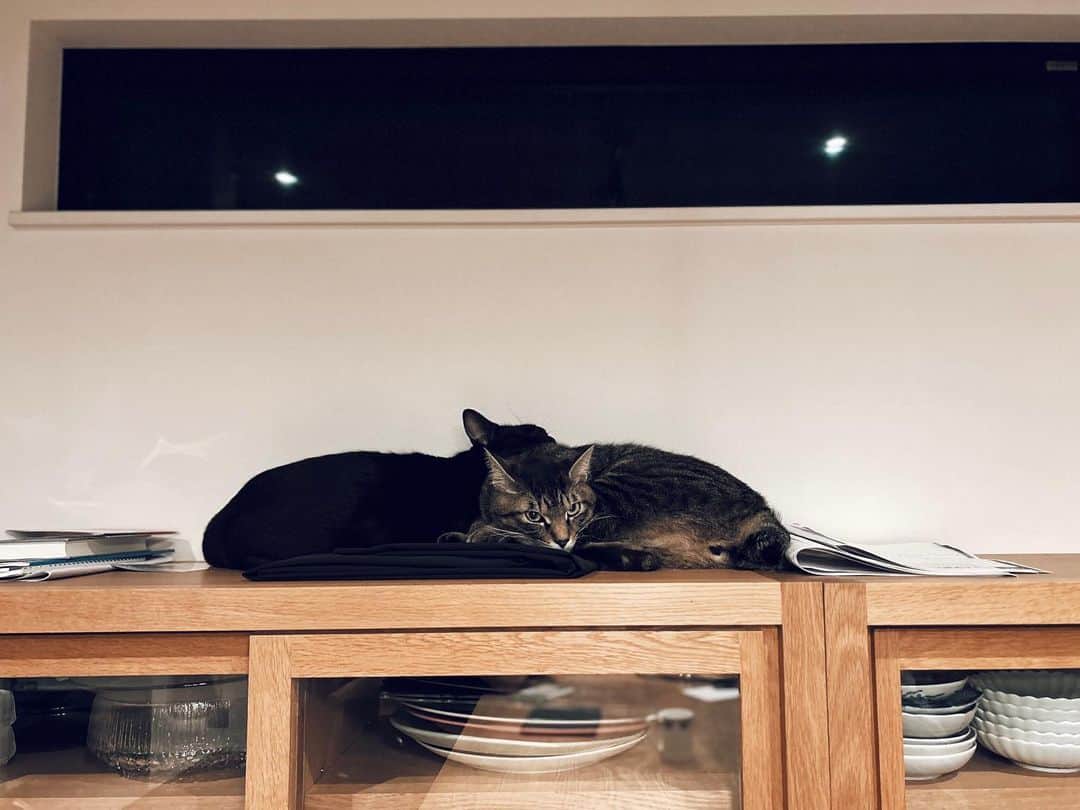 藤田敦子のグルメインスタ