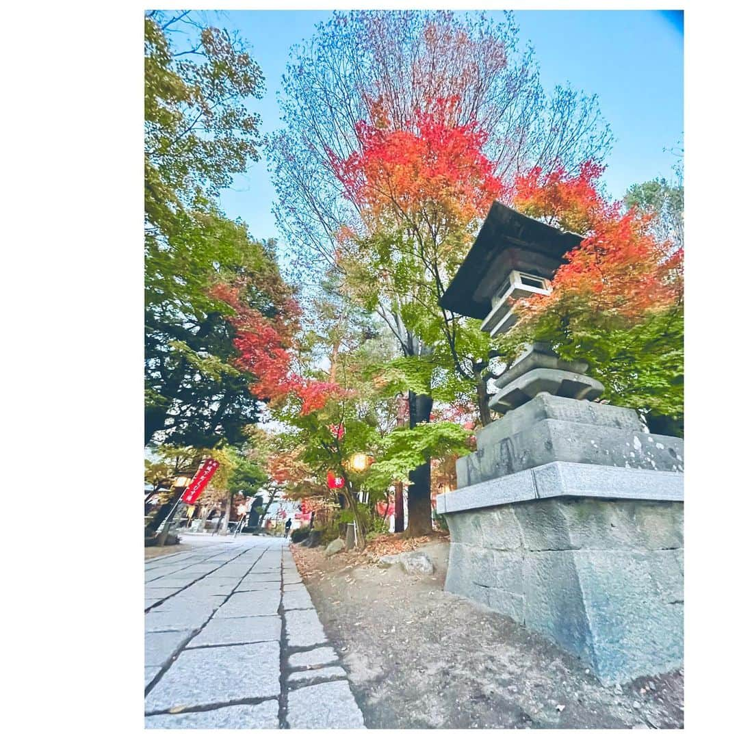 木嶋のりこさんのインスタグラム写真 - (木嶋のりこInstagram)「. 長野県松本市 四柱神社で12月22日のヒット祈願してきた！ 紅葉綺麗すぎ  #いずれあなたが知る話 #四柱神社 #神社 #松本 #長野県 #松本シネマセレクト #紅葉スポット」11月10日 15時26分 - noriko_kohara