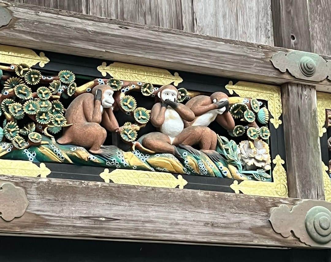 松丸友紀のインスタグラム：「3猿ゲット🙈 眠り猫も🐈」