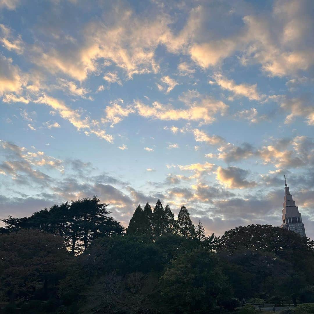 田辺かほさんのインスタグラム写真 - (田辺かほInstagram)「. 自然と太陽を感じながらお散歩した日🍃 のんびりとした日も必要☺️  この日の私服♡ こいうカーディガン欲しかった！ ブランド☞@libjoie   . . #libjoie  #かほでぃねーと」11月10日 15時34分 - kaho__tanabe