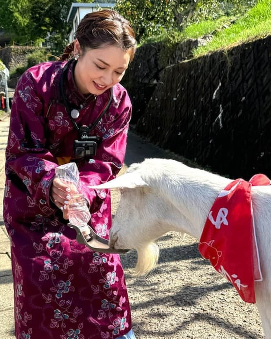 平愛梨さんのインスタグラム写真 - (平愛梨Instagram)「今夜7:25テレビ東京 「ヤギと大悟」📺  7年振りのロケ✨  5ヶ月赤ちゃんと初めて数時間離れることになるけど大丈夫かな〜と、実家から子守りに来てくれた母に託してロケへ飛び込んでみた✨  ヤギさんと大悟さんとひたすらお散歩✨  ただただ楽しくてあっという間のロケでヤギさんから人間と変わらないココロの喜怒哀楽を学んだ🥹  7年振りのロケで「私らしく」居させてもらえたことが何より楽しくて大悟さんに感謝デス🙏  西野さんにもお会いできて嬉しかった🥰  ありがとうございました🙏 #ヤギと大悟#ありのままのロケ#自由気ままに#楽しかった#授乳中だから#ロケが心配だったけど#やっぱり#ロケは楽しい#地方大好き#ありがとうございました」11月10日 15時36分 - harikiri_tairi