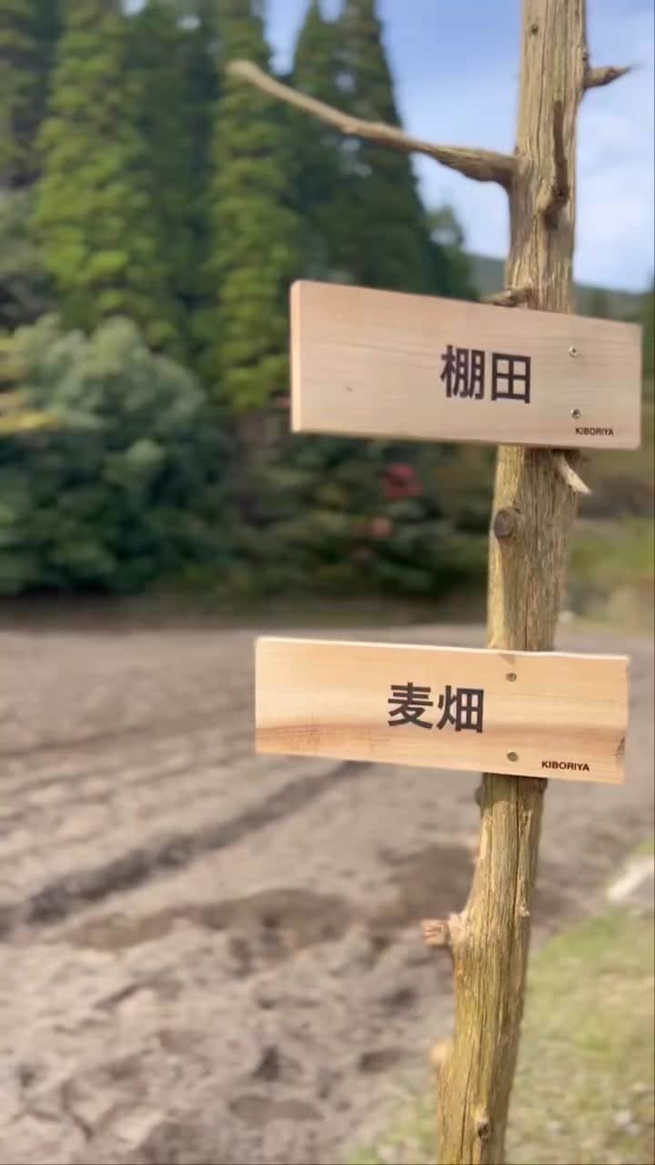 迫田さおりのインスタグラム：「・ 失敗も笑い飛ばして、中腰作業に苦戦しながら…笑 あっという間に終わってしまった😊 その前の準備段階は猪俣さんに任せっきり🙇‍♀️ 本当に頭が上がりません🙇‍♀️ いつもありがとうございます‼︎ ・ 次、湧水町に行った時はどんな景色が広がっているんだろー♪ 楽しみ」