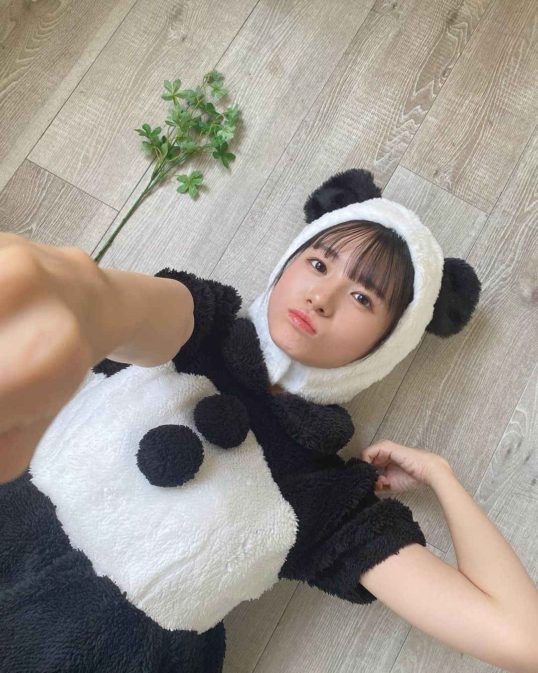 加藤結さんのインスタグラム写真 - (加藤結Instagram)「フォトブック｢かとゆいの全力かわいいを見守ってくれませんか？って本。｣販売中です🐼  12/3(日)西新宿でのイベント よろしくお願いいたします🐼 サインを入れさせてください。チェキも撮れます。ぜひ。  予約サイトはストーリーに載っけとくね！！！」11月10日 16時50分 - ka10san_