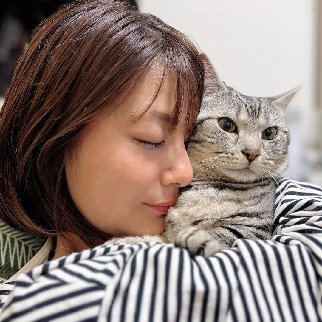 晴山由梨のインスタグラム：「Happy birthday ソラ♡ 先日愛猫のソラが6歳の誕生日を迎えました🎂✨  甘えん坊で、食いしん坊で、おしゃべりな君が大好きよ🐱💕  最近はよく私の顔でフミフミしてます🐾  #ソラ #マンチカン #短足マンチカン #ソラとウタ  #ねこのいる暮らし #にゃんすたぐらむ」