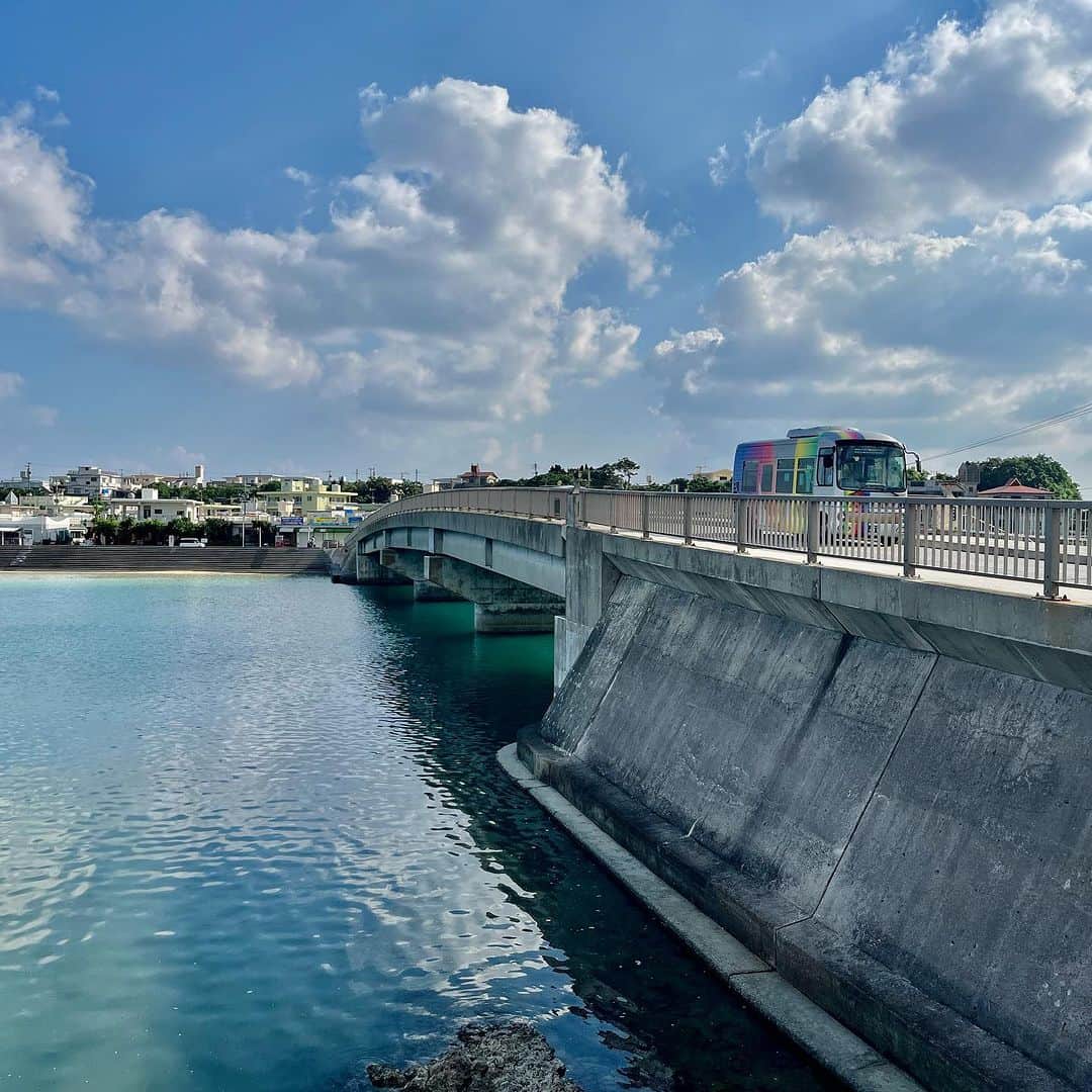 おきなわLikesさんのインスタグラム写真 - (おきなわLikesInstagram)「今回は沖縄天ぷらが食べたくなって、 聖地"奥武島"に行ってきました🚗🐱 ⁡ 本土のサクサク天ぷらもご飯に合って好きだけど、 サクもちの沖縄天ぷらはふと食べたくなるんですよね〜😋 ⁡ 漁港から魚を運搬する際に暑い沖縄で生の魚は傷みやすく、 腐りにくくするために天ぷらにして運んだとか。 （諸説あり） ⁡ だから港町の奥武島には 天ぷら屋さんがたくさんあるのかな～🤔 有名な天ぷら屋さんばかりなので、 悩んでしまう方のために勝手にレビュー🩵笑 ⁡ 📍#中本鮮魚店  奥武島に渡ってすぐ目の前にあるお馴染みのお店💡 種類が豊富でつい頼みすぎちゃう！！ 外国人のお客様にも人気みたいで 注文票も3か国語で用意されてました🇺🇸🇨🇳 ⁡ 📍#大城てんぷら  個人的オススメは500mlペットボトルくらい 大きいアーサ天ぷら！！！（写真4枚目） ポークが入ってて、パンチがある！ このサイズでもペロリでした😋🩵 ⁡ 📍#てるちゃん天ぷら  珍しい海ぶどう天ぷらは刻んだ生姜がたっぷり入っていて、３軒目でもさっぱり食べられますよ！（写真5枚目） ⁡ 漁港の目の前で天日干しされているイカが気になって 干してたおばあに声かけたら、 「これ売ってあげるよ」ってその場で取ってくれて、 てるちゃんの店舗で購入出来ました👏🦑🦑 トースターで焼いてマヨネーズと七味で…はい、最高😍 ⁡ 編集部メンバーにお土産にあげたら、 みんな気に入って後日買いに行ったとか🤭💗 わたしは先週末再び買いに行ったけど、 干したて(?)イカは完売で、冷凍のみでした😭 ⁡ ⁡ 私の中で、奥武島のイメージが 天ぷら→イカ🦑になりつつあるかも…🤣 ⁡ ⁡ 以前紹介した南城市Nバスで奥武島に行くルートもあるので、飲み歩きしながら、海の風を感じて、 天ぷら食べ比べして見るのも最高ですよ～🤤🩵 ⁡ あ、あと☝️ 市場のお刺身もとっても美味しそうだったのに、 天ぷら食べ過ぎてお刺身までたどり着けなかった... 腹持ちの良い沖縄天ぷらは食べすぎに注意です笑 ⁡ 東京の下町から4月に移住してきた【ともみん】でした🙋‍♀️✨ まだまだ「せっかく来たから…」の気持ちが抜けず つい一気に食べ比べしたくなっちゃうんですよね🤭 ⁡ ✜ 𖣯 ✜ 𖣯 ✜ 𖣯 ✜ 𖣯 ✜ 𖣯 ✜ 𖣯 ✜ 𖣯 ✜ 𖣯 ✜ ⁡ 沖縄のこと、「ちょっと好き」から「もっと好き」に。 ⁡ フォローしてね🌺 @okinawa_likes ⁡ ✜ 𖣯 ✜ 𖣯 ✜ 𖣯 ✜ 𖣯 ✜ 𖣯 ✜ 𖣯 ✜ 𖣯 ✜ 𖣯 ✜ #おきなわLikes #沖縄 #沖縄観光 #沖縄旅行 #沖縄好きな人と繋がりたい #okinawa #奥武島 #沖縄天ぷら #天ぷら #沖縄料理 #沖縄グルメ #イカ #猫 #南城市 #Nバス」11月10日 17時00分 - okinawa_likes