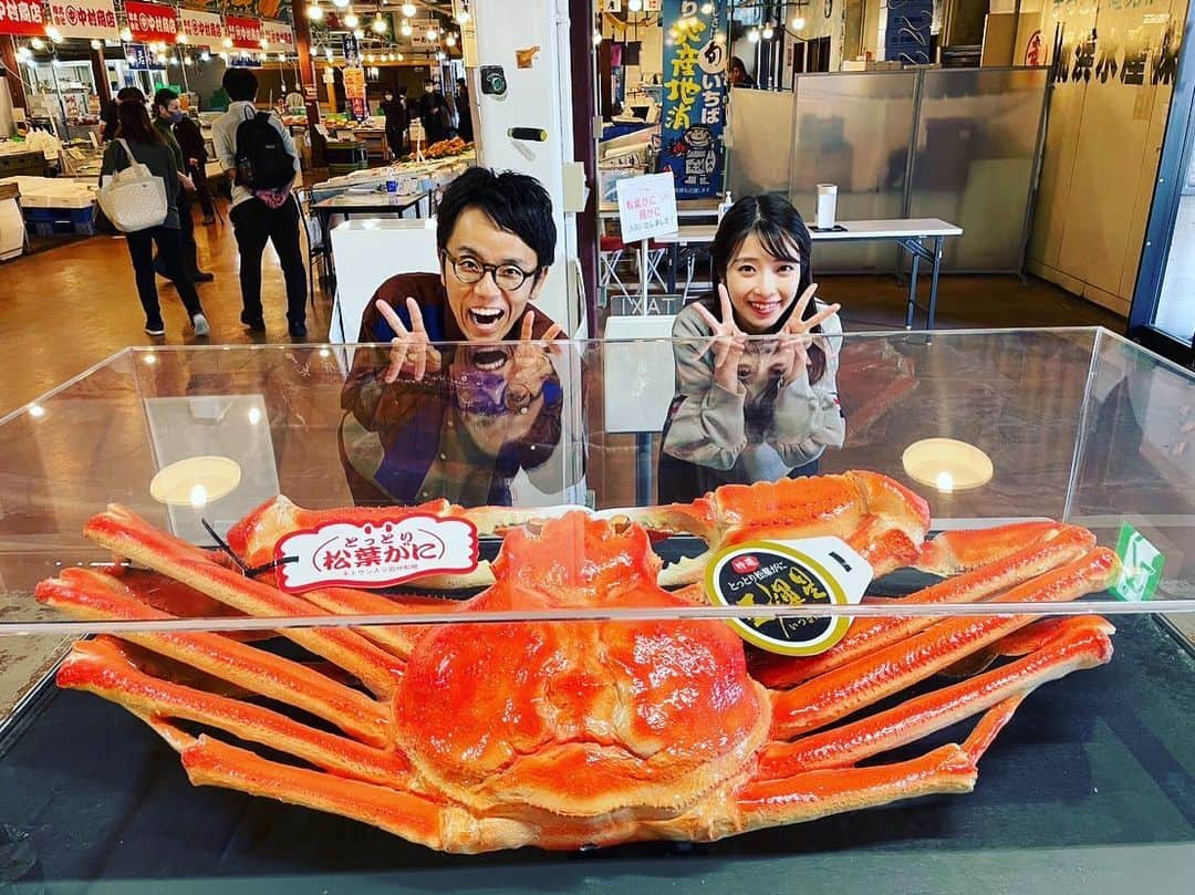 朝日放送「おはよう朝日土曜日です」のインスタグラム：「ついに解禁！🦀🦀🦀 カニを求めて鳥取旅〜✨  #鳥取#松葉ガニ#解禁#タグ付き#🦀 #土日どーする #11月11日放送#見てね  #おは土#おはよう朝日土曜日です#ABCテレビ #女と男市川#小椋寛子」