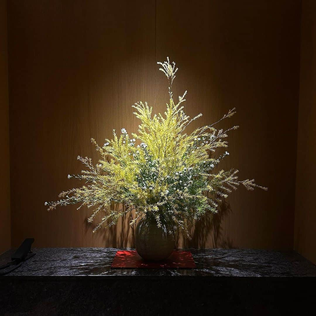 ホテルオークラ東京 Hotel Okura Tokyoさんのインスタグラム写真 - (ホテルオークラ東京 Hotel Okura TokyoInstagram)「Today’s Ikebana🌼 エレベーターホールの生け花🇯🇵  Location : The Okura Heritage Wing オークラ ヘリテージウイング  #エレベーターの日 #生け花 #東京ホテル #ラグジュアリーホテル  #theokuratokyo #オークラ東京 #elevator #hotellobby #tokyohotel #luxuryhotel #tokyotrip #ikebana #flowerarrangement  #lhw #lhwtraveler #uncommontravel #东京 #酒店 #도쿄 #호텔 #일본 #ญี่ปุ่น #โตเกียว #โรงแรม」11月10日 17時11分 - theokuratokyo