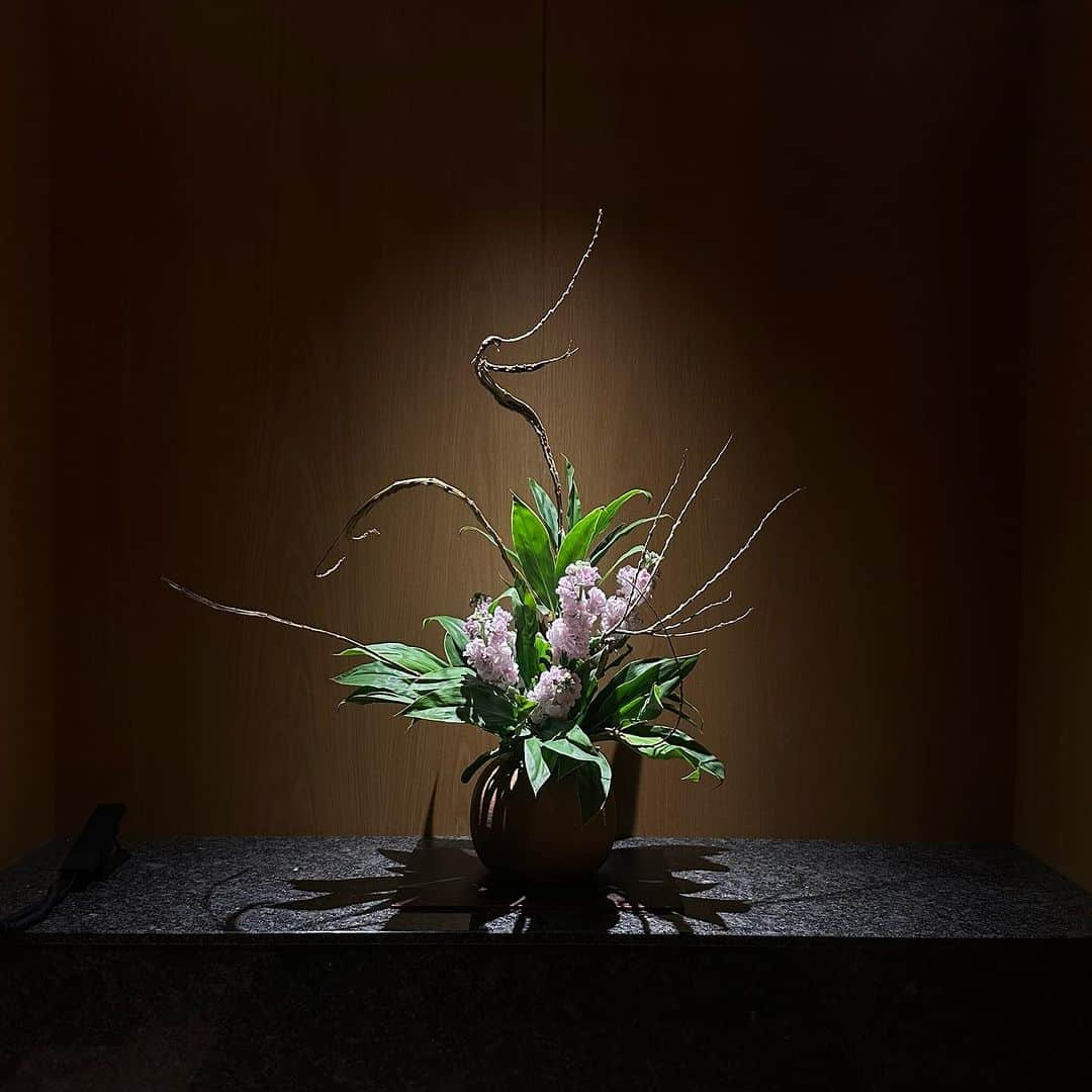 ホテルオークラ東京 Hotel Okura Tokyoさんのインスタグラム写真 - (ホテルオークラ東京 Hotel Okura TokyoInstagram)「Today’s Ikebana🌼 エレベーターホールの生け花🇯🇵  Location : The Okura Heritage Wing オークラ ヘリテージウイング  #エレベーターの日 #生け花 #東京ホテル #ラグジュアリーホテル  #theokuratokyo #オークラ東京 #elevator #hotellobby #tokyohotel #luxuryhotel #tokyotrip #ikebana #flowerarrangement  #lhw #lhwtraveler #uncommontravel #东京 #酒店 #도쿄 #호텔 #일본 #ญี่ปุ่น #โตเกียว #โรงแรม」11月10日 17時11分 - theokuratokyo