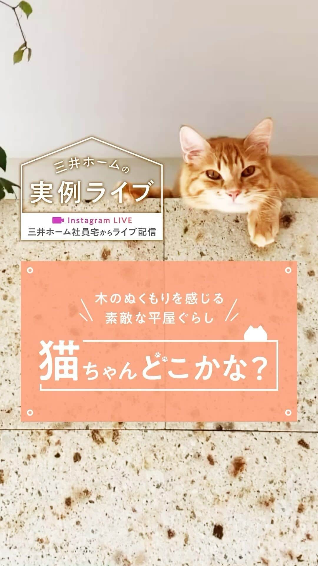 三井ホームのインスタグラム：「わかったら「🐈」のコメントで教えてください💬  🏠11月18日(土)インスタライブ開催🐈 #三井ホームの実例ライブ 当日は人気の平屋のオーナー様宅からライブ配信します！  ＼動画のお住まいを実例ライブでご紹介／ 💡詳細はプロフィール画面のハイライトからご覧ください！  ：：：：：：：：：：：：：：：：：：  【インスタライブ配信日時】 11月18日(土)20：00より開始  【物件概要】 延床面積：33坪 平屋建て ・三井ホーム社員宅 特徴： #平屋建て 30帖の #LDK  #ペットと暮らす家 #ナチュラルモダン  ：：：：：：：：：：：：：：：：：：  ライブの後半では「質問コーナー」があります。 家づくりの疑問や、間取り、インテリアの質問などをリアルタイムで回答いたします！ぜひご質問ください♪  ┈┈┈┈┈┈┈┈┈┈┈┈┈┈┈┈┈┈┈┈  【動画を停止するには】 ▶️タップで全画面表示 ▶️長押しで動画をストップ👆 じっくりデザインをご覧いただけます。 ＿＿＿＿＿＿＿＿＿＿＿＿＿＿＿＿＿  @mitsuihome ぜひ他の投稿も見て、真似したくなる家づくりのアイデアをたくさん見つけてください🏠 ＿＿＿＿＿＿＿＿＿＿＿＿＿＿＿＿＿  #三井ホーム #三井ホームオーナー  #インテリア  #注文住宅  #自由設計  #マイホーム計画  #全館空調  #新築一戸建て  #施工事例  #暮らしを楽しむ  #理想の家づくり  #こだわりの家  #後悔しない家づくり  #ていねいな暮らし  #デザイン住宅  #空間コーディネート  #ルームツアー  #木の家  #木のある暮らし  #インテリアコーディネート #猫のいる暮らし #猫と暮らす #インスタライブ #猫のいる生活  #設計士とつくる家」