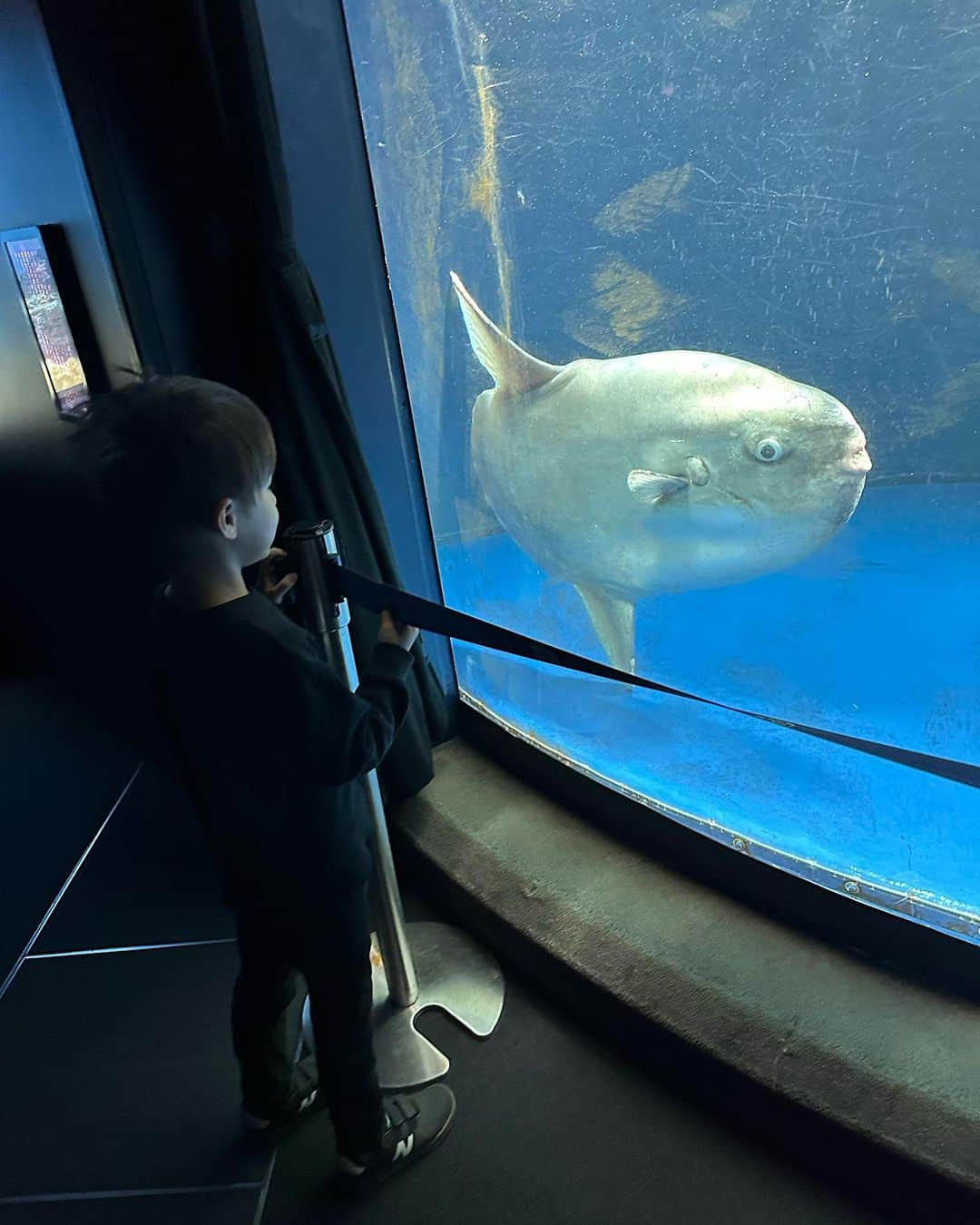 奥山絵里奈さんのインスタグラム写真 - (奥山絵里奈Instagram)「久々に#サンシャイン水族館 @sunshine_aquarium に🐟  久々の水族館は新鮮で子供も大喜びしてくれた🤣  クラゲ🪼コーナーや  #カワウソ コーナーなど  新しいゾーンも出来ていた😳  レジャーのサブスク#レジャパス　@lejapass で行ってきました🐟  この日は サンシャイン水族館と展望台に行って 池袋大満喫プランでした🎵  #池袋デート #子連れスポット東京 #水族館デート #水族館好きな人と繋がりたい #サンシャインシティ #池袋#tothesea #ユニクロコーデ #UNIQLOコーデ#水族館コーデ#グローバルワーク #ママコーデプチプラ #サブスクライフ#クラゲ水族館#子供とお出かけ」11月10日 17時17分 - erinaokuyama