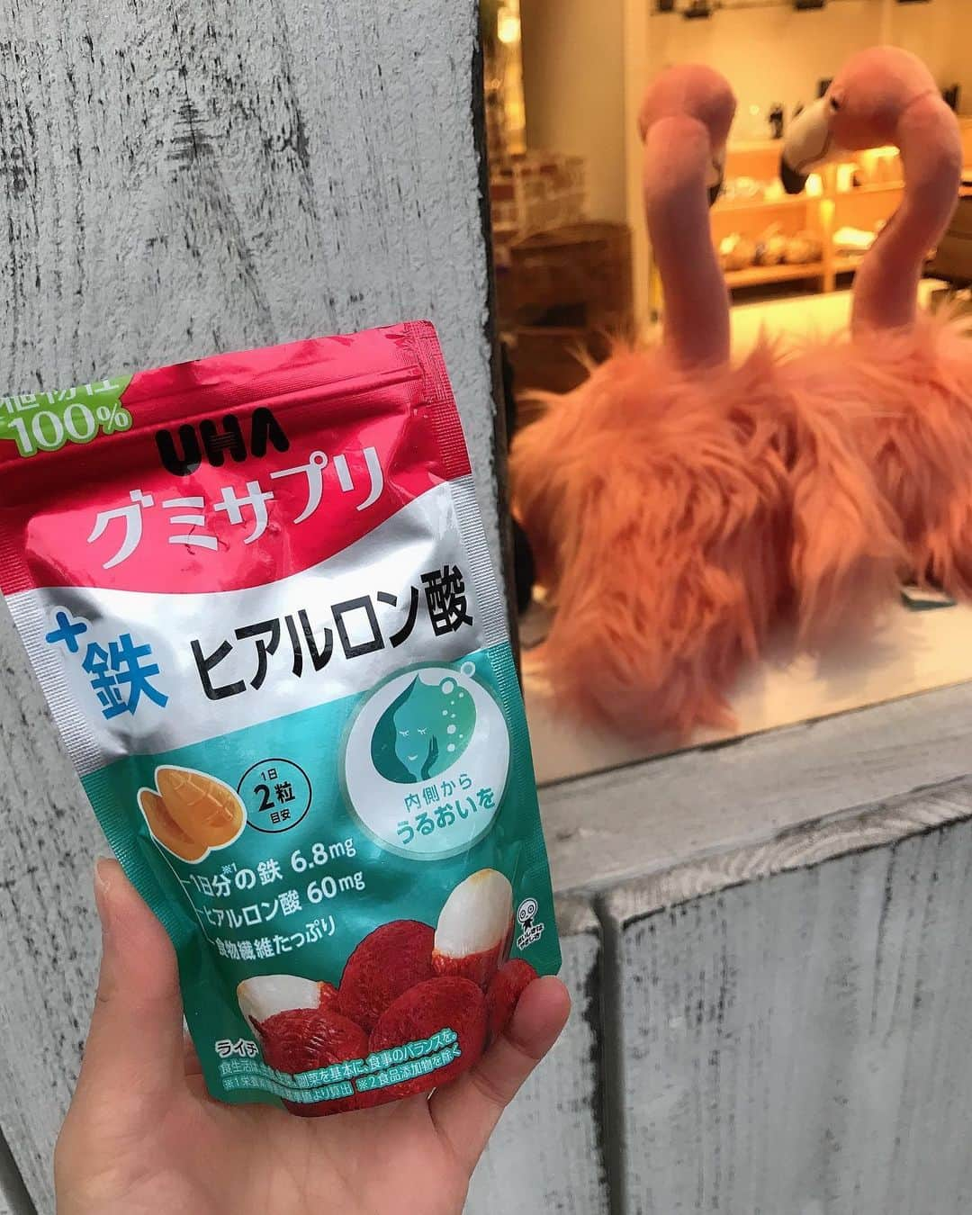 葵のインスタグラム