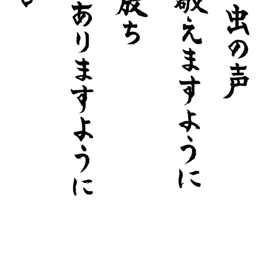 紫舟のインスタグラム