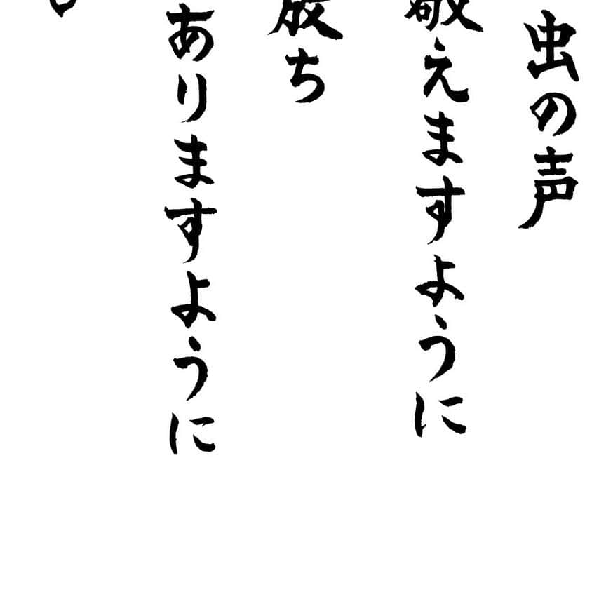 紫舟さんのインスタグラム写真 - (紫舟Instagram)「#禅坊 #靖寧 #書写」11月10日 17時31分 - sisyu8