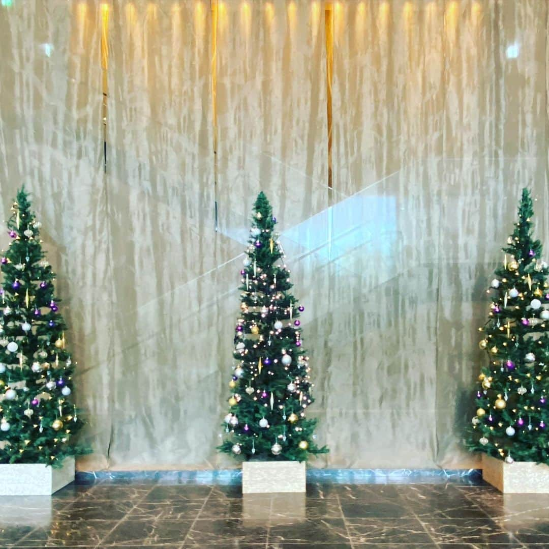 THE WESTIN SENDAI｜ウェスティンホテル仙台さんのインスタグラム写真 - (THE WESTIN SENDAI｜ウェスティンホテル仙台Instagram)「今年もクリスマスの準備が整いました。 お近くにお越しの際は、ぜひ、お立ち寄りください。   #ウェスティン #仙台 #ウェスティンホテル仙台 #ウェスティン仙台 #クリスマス #クリスマスツリー #クリスマスディナー #クリスマスツリー飾り付け #仙台クリスマス #ホテルクリスマス #ホテル #クリスマス飾り #仙台旅行 #東北旅行  #westin #sendai #westinsendai #christmas #christmastree #christmastime #christmascake #goldtree #japan #marriott」11月10日 17時52分 - westinsendai