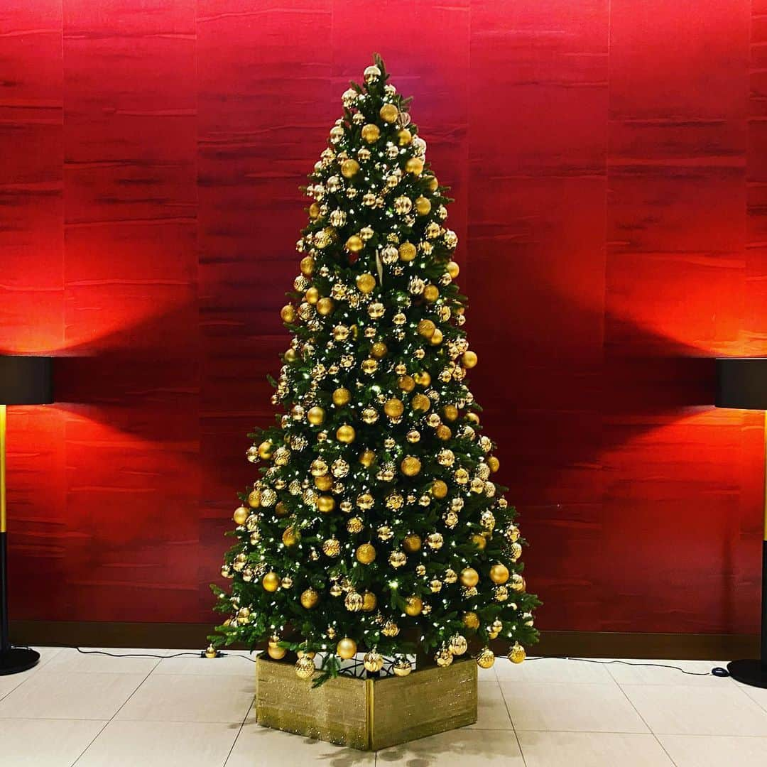 THE WESTIN SENDAI｜ウェスティンホテル仙台さんのインスタグラム写真 - (THE WESTIN SENDAI｜ウェスティンホテル仙台Instagram)「今年もクリスマスの準備が整いました。 お近くにお越しの際は、ぜひ、お立ち寄りください。   #ウェスティン #仙台 #ウェスティンホテル仙台 #ウェスティン仙台 #クリスマス #クリスマスツリー #クリスマスディナー #クリスマスツリー飾り付け #仙台クリスマス #ホテルクリスマス #ホテル #クリスマス飾り #仙台旅行 #東北旅行  #westin #sendai #westinsendai #christmas #christmastree #christmastime #christmascake #goldtree #japan #marriott」11月10日 17時52分 - westinsendai