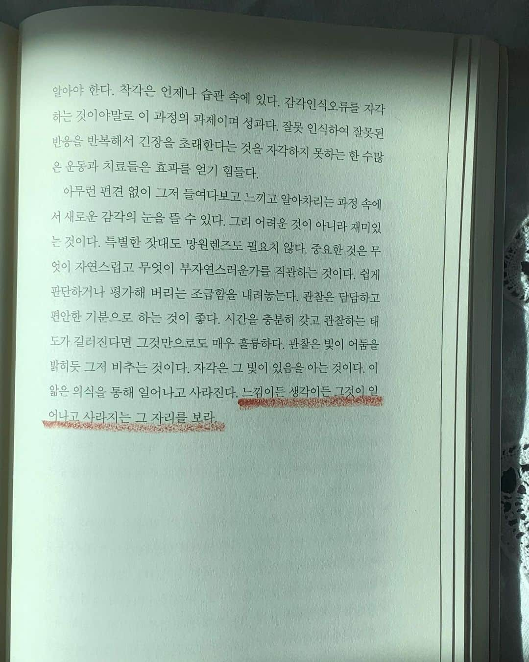 セム さんのインスタグラム写真 - (セム Instagram)「그 어떤 근사한 다짐보다 항상 기억하며 지내고 싶지만 알면서도 자주 잊어버리고 절대로 절대로! 쉽지 않은,, '일어나고 사라지는 그 자리를 보는 일' 🔮🙏🏼🏋🏻‍♀️」11月10日 17時53分 - iamyina