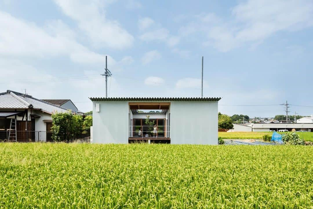 Horibe Associates co., ltd. さんのインスタグラム写真 - (Horibe Associates co., ltd. Instagram)「House in mita  more⇨@horibeassociates  #architecture #courtyard #Patio#двор#cortile#house#新築#design#modern#architects#architettura#デザイン#中庭#casa#simple #Haus #minimal #cortile#マイホーム計画#マイホームメモ#マイホーム記録#平屋#architecturephoto#archilovers#architecturephotography」11月10日 18時08分 - horibeassociates