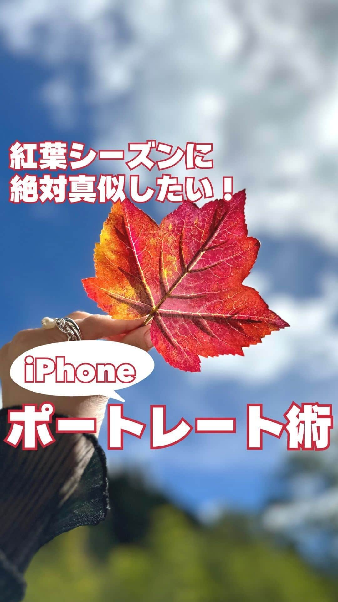 ソフトバンク(SoftBank) のインスタグラム：「＼秒でわかるオシャレな紅葉の撮り方！／🍁 ・ ポートレートの輪郭強調照明を選択するだけで、紅葉写真がもっと印象的に！📸  ぜひマネして、今年の紅葉をきれいに撮影してみてくださいね🤭  やってみたいと思ったら、いいね♡と保存を押してね🤞  -——————————— フォローはこちらから ↓↓↓↓↓↓↓↓↓↓↓↓↓↓↓↓↓↓↓↓ @softbank_official  使用端末📱：iPhone 14 Pro  #SoftBank #ソフトバンク#iPhone14 #iPhone14で撮影 #iPhone撮影 #iPhone14Pro#iPhone#撮影方法 #撮影の裏側 #動画の撮り方#紅葉スポット #紅葉 #紅葉デート #紅葉写真 #秋旅行 #グランピング#秋晴れ#autumn #キャンプ」