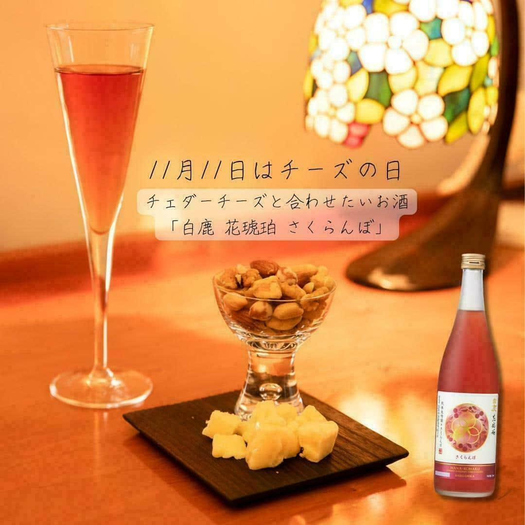 辰馬本家酒造株式会社(白鹿) さんのインスタグラム写真 - (辰馬本家酒造株式会社(白鹿) Instagram)「11月11日は「#チーズの日 🧀」  チーズの日は1992年、チーズ普及協議会と日本輸入チーズ普及協会によって制定されました。  西暦700年（文武天皇4年）年10月に、全国に現在のチーズに近い「酥（そ）」の製造を命じたという、日本で初めてチーズの記述が登場したことにちなみ、10月を新暦に置き換えた11月にし、覚えやすい11日を「チーズの日」としました。  ほろりと崩れるような生地とほのかな酸味が特徴のチェダーチーズには、#白鹿花琥珀さくらんぼ がおすすめです🍒✨  佐藤錦の凝縮された芳醇な甘味、サワーチェリーの爽やかな酸味と渋味がチーズの塩味とマッチし、旨みがふくらみます。  大人のデザートタイムにピッタリです🍷🧀 ぜひお試しください🍶✨  商品は当社オフィシャルアカウント @hakushika_official のプロフィール欄URL （白鹿オンラインショップ）よりご購入いただけます。  いつもご覧いただきありがとうございます。 いいね、コメント、フォローしていただけると とても嬉しいです✨  #白鹿花琥珀 #花琥珀さくらんぼ #花琥珀 #花琥珀シリーズ #日本酒リキュール #リキュール #純米大吟醸 #hanakohaku #cherry #白鹿 #黒松白鹿 #辰馬本家酒造 #日本酒 #西宮 #灘五郷 #hakushika #kuromatsuhakushika #sake #nihonshu #nishinomiya #nadagogo #hyogo #japan #日本酒好き #日本酒好きな人と繋がりたい #ポン酒タグラム」11月10日 18時03分 - hakushika_official