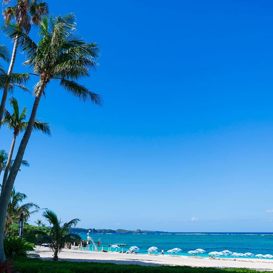 ホテルムーンビーチさんのインスタグラム写真 - (ホテルムーンビーチInstagram)「10月22日、朝のビーチ。 Morning beach, October 22.  #ザムーンビーチミュージアムリゾート #ムーンビーチ #リゾート #沖縄 #沖縄観光 #沖縄ビーチ #沖縄旅行 #恩納村 #沖縄好き #沖縄リゾートホテル #沖縄好きな人と繋がりたい #旅行好きな人と繋がりたい #リゾート好きな人と繋がりたい #旅行 #okinawa #themoonbeachmuseumresort #okinawabeach #okinawatrip #onnason  #moonbeach #okinawahotel」11月10日 18時05分 - themoonbeachmuseumresort