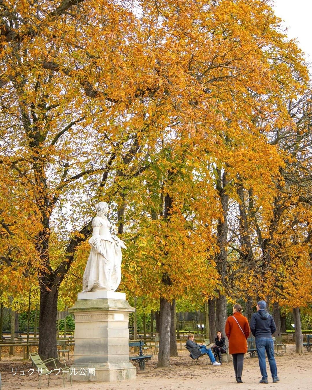 Orangina オランジーナ公式さんのインスタグラム写真 - (Orangina オランジーナ公式Instagram)「Bonjour🇫🇷  パリはすっかり秋、紅葉のピークを迎えています🍁  みなさんご存知 パリ６区にあるリュクサンブール公園では 彫刻と紅葉のハーモニーを眺めながら 静かなお散歩が楽しめます🚶  パリの北、18区のモンマルトル界隈には 一軒家や重厚感のあるアパートが多く 壁や門をつたう葉っぱの紅葉が美しさを増しています✨  色々な顔を見せてくれるパリ 秋の街歩きもまた味わい深いものがあります😊  赤や黄色の葉っぱを見ていると なんだかORANGINA Airyを飲みたくなってきました🍊  #orangina #oranginaairy #france #soda #オランジーナ #フランス生まれ #炭酸飲料 #フランス #オレンジ #休憩 #withオランジーナ #紅葉 #秋 #リュクサンブール公園 #jardinduluxembourg #feuilles #feuillesdautomne #automne #モンマルトル #montmartre #散歩」11月10日 18時12分 - orangina_jp