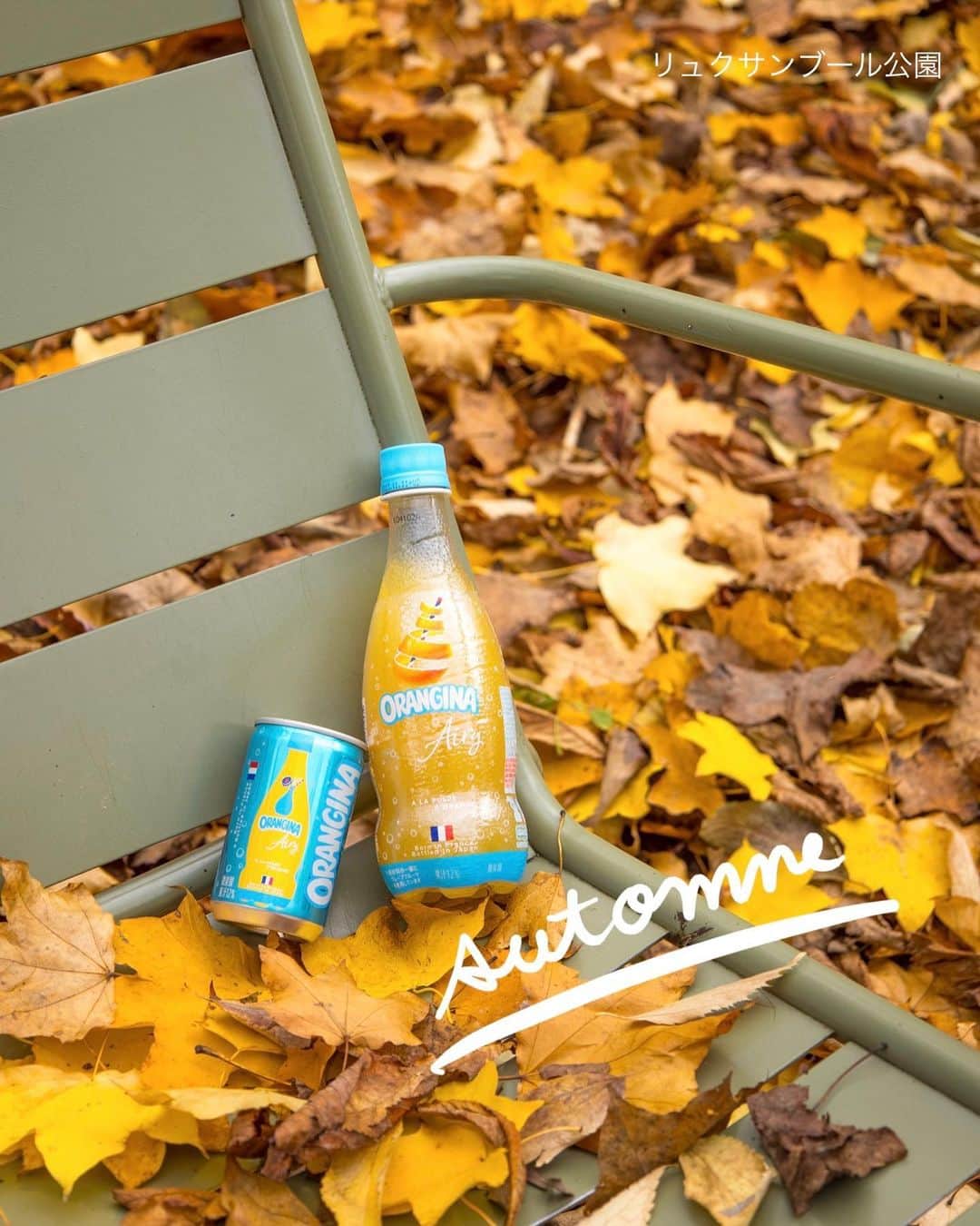 Orangina オランジーナ公式さんのインスタグラム写真 - (Orangina オランジーナ公式Instagram)「Bonjour🇫🇷  パリはすっかり秋、紅葉のピークを迎えています🍁  みなさんご存知 パリ６区にあるリュクサンブール公園では 彫刻と紅葉のハーモニーを眺めながら 静かなお散歩が楽しめます🚶  パリの北、18区のモンマルトル界隈には 一軒家や重厚感のあるアパートが多く 壁や門をつたう葉っぱの紅葉が美しさを増しています✨  色々な顔を見せてくれるパリ 秋の街歩きもまた味わい深いものがあります😊  赤や黄色の葉っぱを見ていると なんだかORANGINA Airyを飲みたくなってきました🍊  #orangina #oranginaairy #france #soda #オランジーナ #フランス生まれ #炭酸飲料 #フランス #オレンジ #休憩 #withオランジーナ #紅葉 #秋 #リュクサンブール公園 #jardinduluxembourg #feuilles #feuillesdautomne #automne #モンマルトル #montmartre #散歩」11月10日 18時12分 - orangina_jp