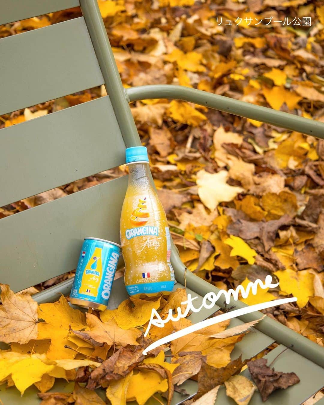 Orangina オランジーナ公式さんのインスタグラム写真 - (Orangina オランジーナ公式Instagram)「Bonjour🇫🇷  パリはすっかり秋、紅葉のピークを迎えています🍁  みなさんご存知 パリ６区にあるリュクサンブール公園では 彫刻と紅葉のハーモニーを眺めながら 静かなお散歩が楽しめます🚶  パリの北、18区のモンマルトル界隈には 一軒家や重厚感のあるアパートが多く 壁や門をつたう葉っぱの紅葉が美しさを増しています✨  色々な顔を見せてくれるパリ 秋の街歩きもまた味わい深いものがあります😊  赤や黄色の葉っぱを見ていると なんだかORANGINA Airyを飲みたくなってきました🍊  #orangina #oranginaairy #france #soda #オランジーナ #フランス生まれ #炭酸飲料 #フランス #オレンジ #休憩 #withオランジーナ #紅葉 #秋 #リュクサンブール公園 #jardinduluxembourg #feuilles #feuillesdautomne #automne #モンマルトル #montmartre #散歩」11月10日 18時12分 - orangina_jp