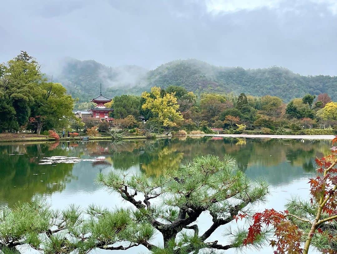 とよた真帆さんのインスタグラム写真 - (とよた真帆Instagram)「今日は NHK 京コトはじめ ~貴族が愛した景勝の地 嵯峨野~   の生放送でした。 京都にいましたよ😊  子供の頃から度々訪れている京都、嵯峨野。 皆様の想いとケアでいにしえの美しさを保って今日のような雨の日もフワッと靄がでたり、、  風情があって素敵でした  #nhk  #京コトはじめ  #生番組  #京都  #kyoto  #嵯峨野」11月10日 18時12分 - maho_toyota