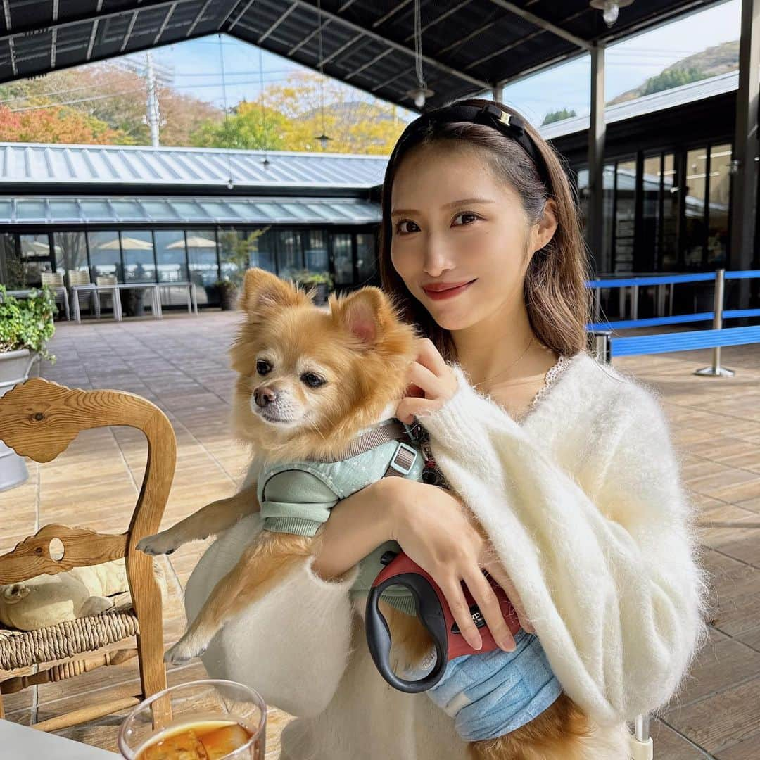 あいりのインスタグラム：「lunch🐾 御朱印の帰りに寄ったご飯屋さん☺︎ テラス席もあってワンちゃん同伴可なのが嬉しい🤍 芦ノ湖が目の前で開放的だった😌  #テラス#テラス席ペットok#ペット可レストラン#箱根#芦ノ湖#ランチ#ランチ巡り#イタリアン#lunch#箱根グルメ」