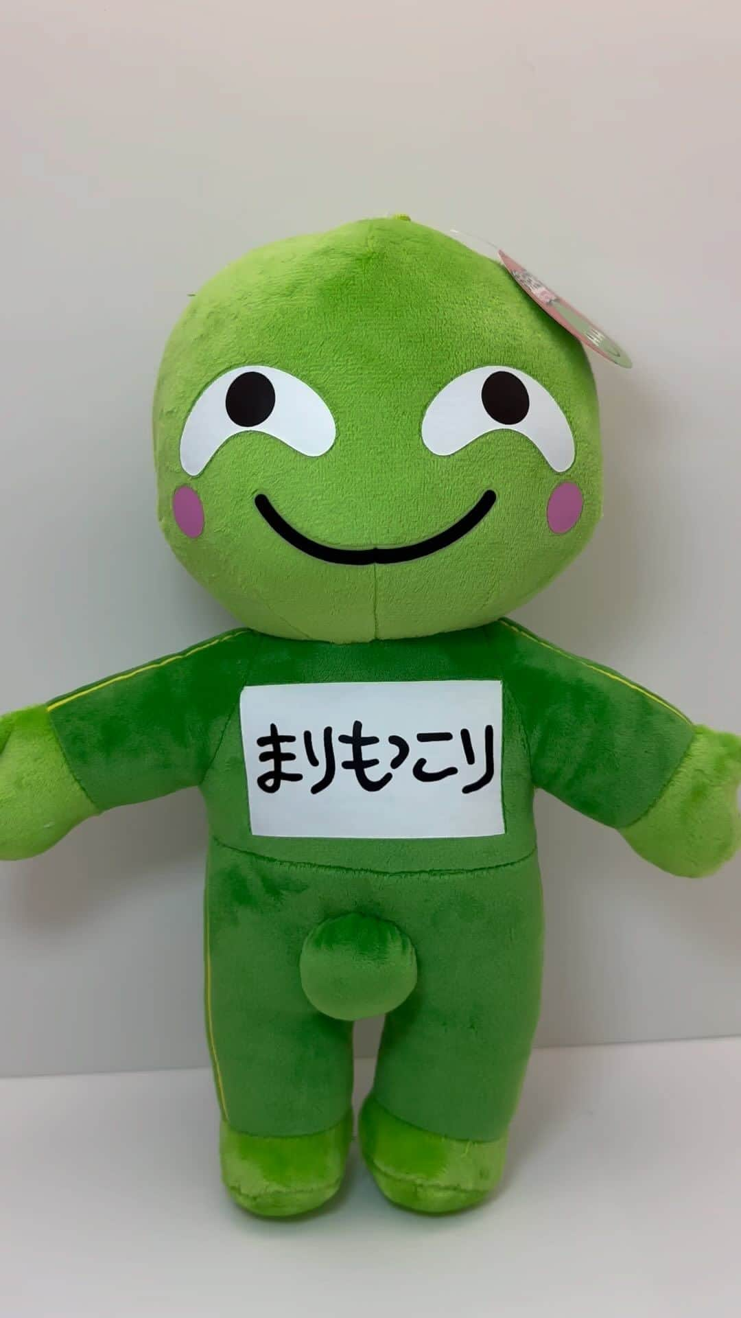 まりもっこりのインスタグラム：「「ジャンボマスコット」と言う名の「ぬいぐるみ」発売しました😁 #まりもっこり」