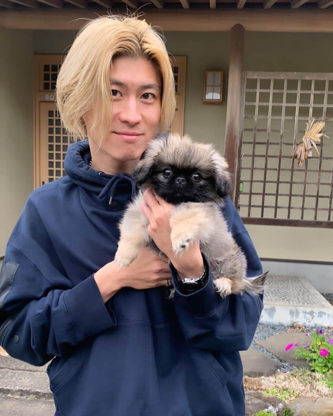 美留町恭兵さんのインスタグラム写真 - (美留町恭兵Instagram)「はじめまして🐶  美留町　おひげ ペキニーズ♂ 3ヶ月  家族が増えました☺️」11月10日 18時52分 - kamikiriya9