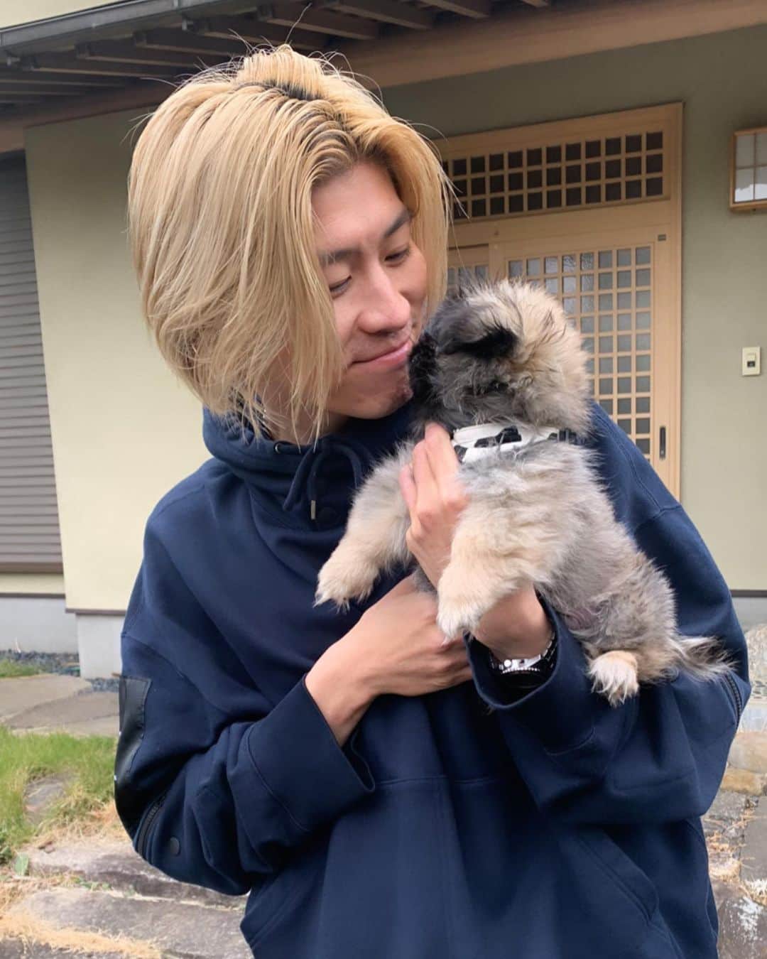 美留町恭兵さんのインスタグラム写真 - (美留町恭兵Instagram)「はじめまして🐶  美留町　おひげ ペキニーズ♂ 3ヶ月  家族が増えました☺️」11月10日 18時52分 - kamikiriya9