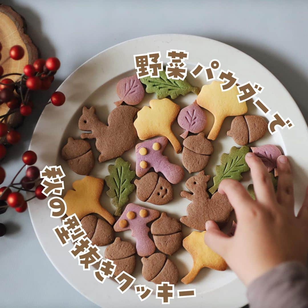 きなこさんのインスタグラム写真 - (きなこInstagram)「秋を感じるクッキー作り🍁🐿 お気に入りのどんぐりとリスのクッキー型に、新しく葉っぱの型も仲間入りさせてみました。缶に詰めたら可愛い秋のクッキー缶に🥰  色付けに使っている国産野菜のパウダーは、息子が小さい頃からおやつ作りによく使ってきたもの🥕 ホットケーキや蒸しパンを作るときに混ぜると簡単に綺麗な色を付けられて便利！野菜臭さがないので、野菜嫌いキッズにもおすすめです😋  ▶︎野菜パウダーやクッキー型、roomに載せてます！  #型抜きクッキー #クッキー #野菜パウダー #こどものおやつ #手作りおやつ #クッキー缶 #小学生 #小学生男子 #育児 #子育て #こどもと暮らす」11月10日 18時45分 - kinako_710