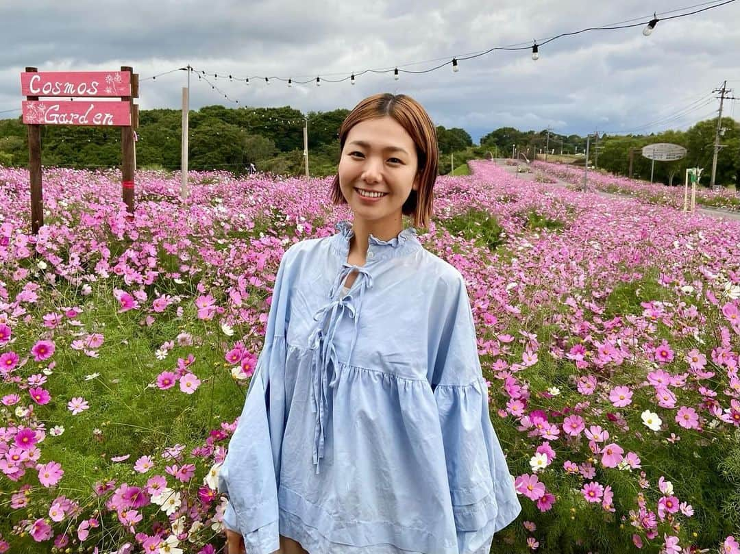 森万由子さんのインスタグラム写真 - (森万由子Instagram)「鹿屋はコスモスが見ごろです！  訪問先でたまたま出会ったコスモスがすごくキレイでした。  今日は 南州農場さまのお肉、 野山の楽校さまのクラフトシロップ、 JAN CACAOさまのチョコレートに出会いました。  作り手の思いを伺って食べる美味しさは格別！ みなさんに出会えて最高の1日でした！」11月10日 18時50分 - mayukomori0411