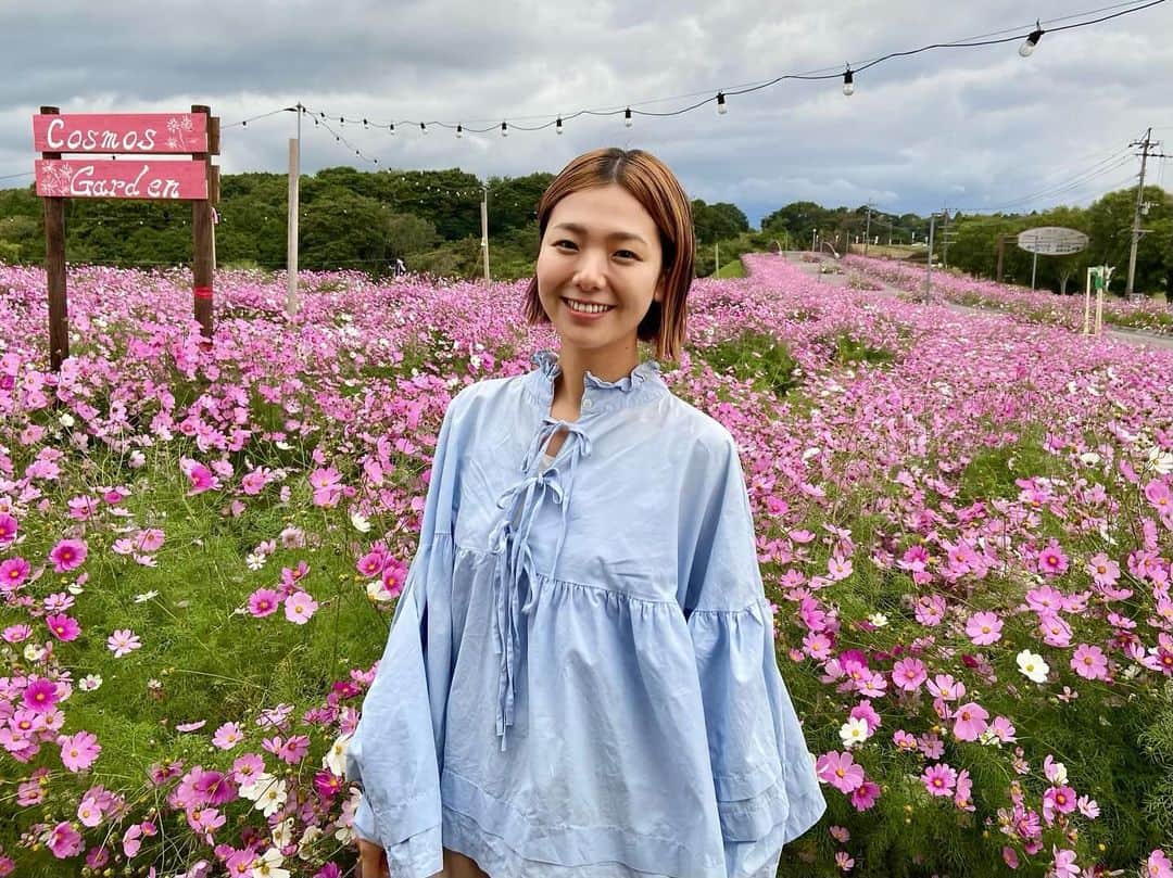 森万由子のインスタグラム：「鹿屋はコスモスが見ごろです！  訪問先でたまたま出会ったコスモスがすごくキレイでした。  今日は 南州農場さまのお肉、 野山の楽校さまのクラフトシロップ、 JAN CACAOさまのチョコレートに出会いました。  作り手の思いを伺って食べる美味しさは格別！ みなさんに出会えて最高の1日でした！」