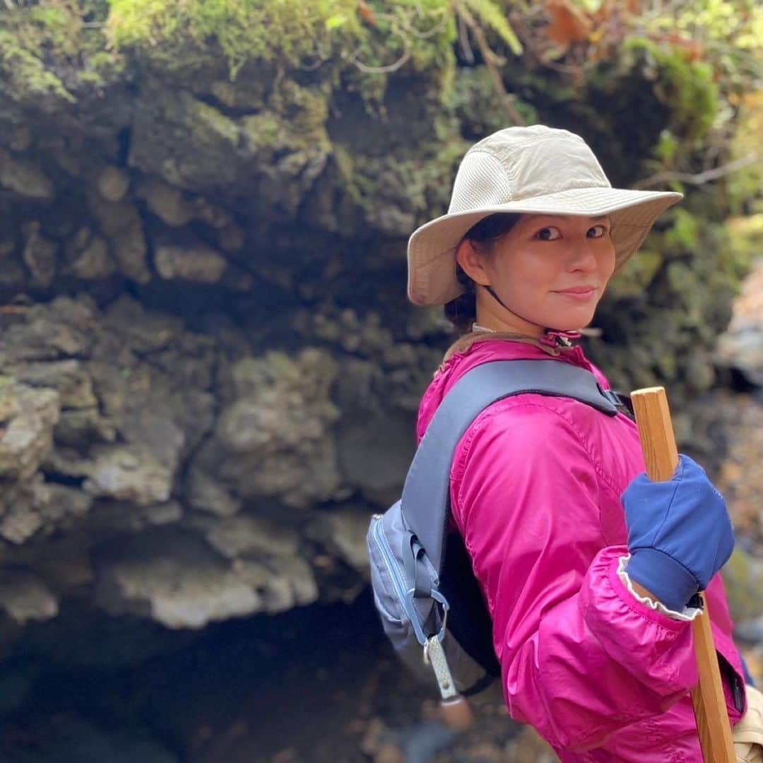 遊佐ちえみのインスタグラム：「🌳🌲🗻🍁  富士山麓  頂きを目指す富士登山もいいけれど 富士山の麓の素晴らしさにも触れました！  時代の流れの中で、新しいものが 次々と生まれる世の中  その中でもずっと変わらずに 美しいものも沢山あります。  美しい日本が、この何百年先も 残っていますように☺️  #富士山麓 #富士 #富士山 #麓 #自然 #ネイチャーハイク #苔ハイク #苔 #紅葉 #静岡県 #shizuoka #mtfuji」